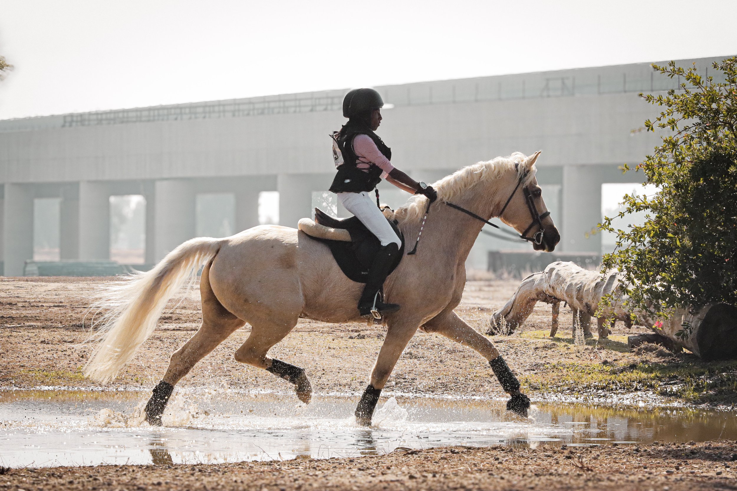 A young girl riding a white horse through a shallow water crossing, with a large building and some greenery in the background.