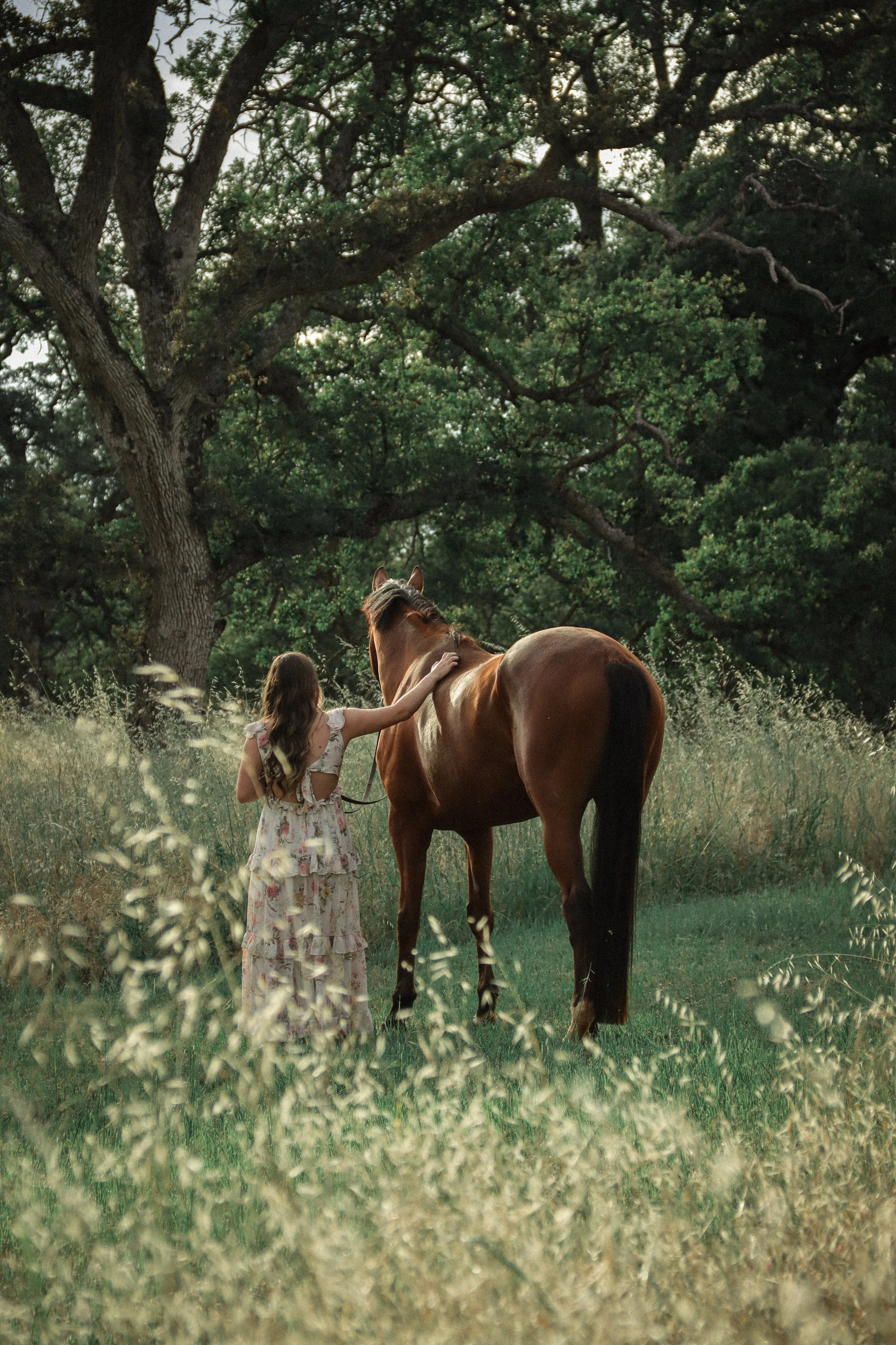 A young girl in a floral dress pats a brown horse in a grassy field surrounded by tall grass and trees, with dense green foliage in the background.