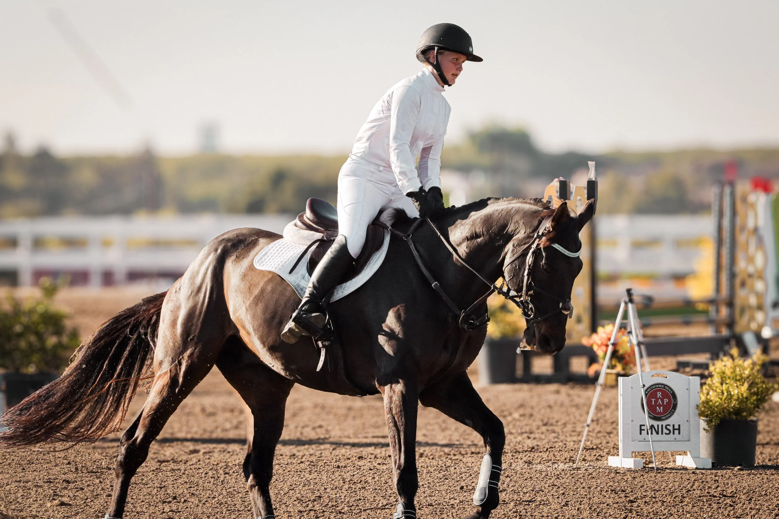 Young male equestrian riding a horse during a competition, approaching the finish line, wearing a helmet and white riding outfit.