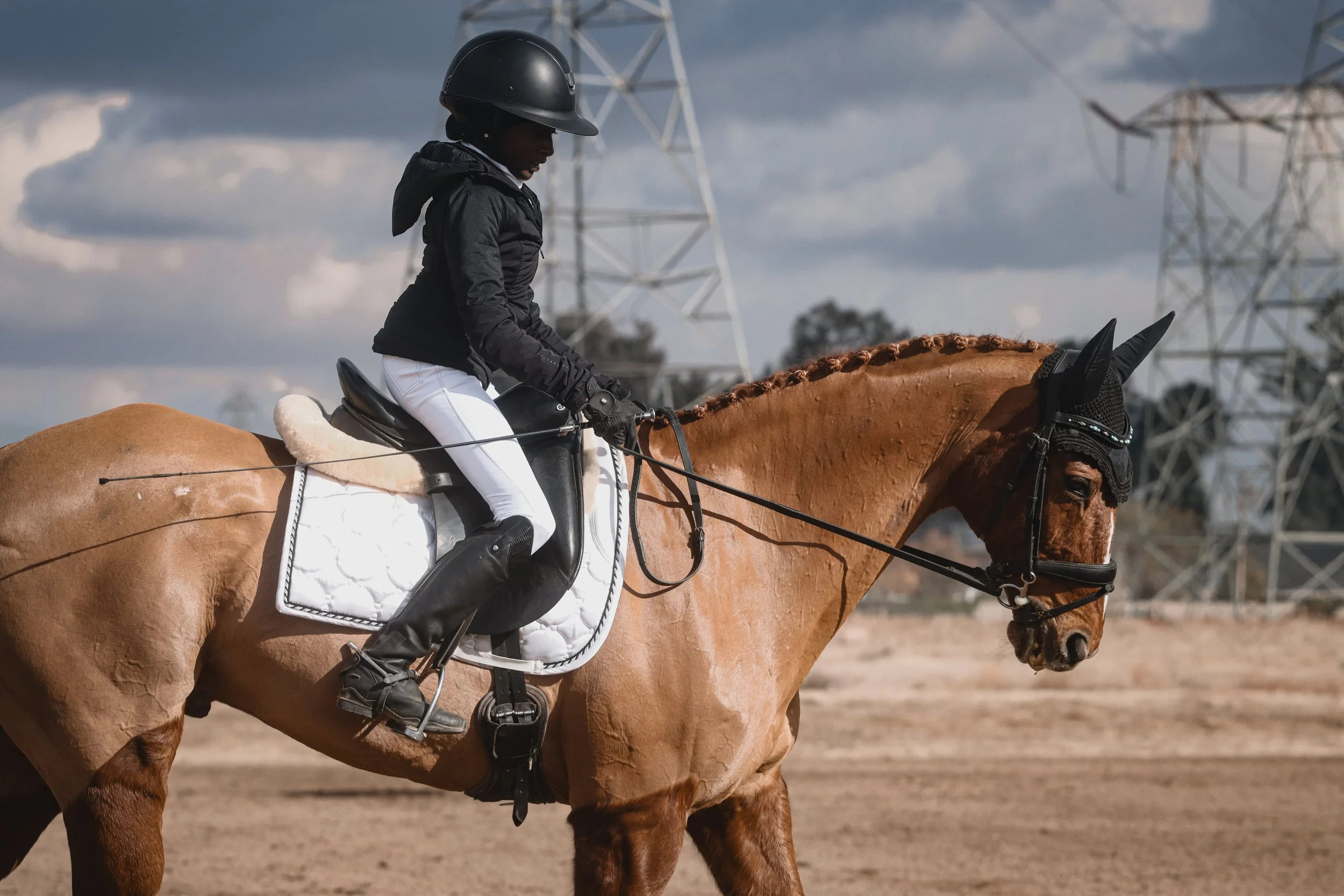 Maya Burke & Napoleon @ November Ram Tap Horse Trials 2024