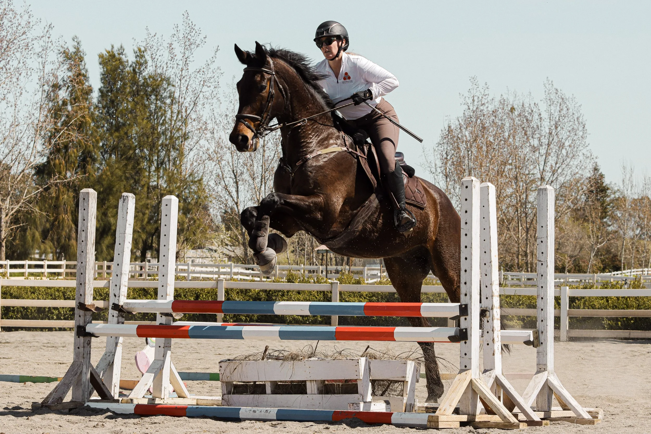 A woman riding a brown horse jumps over a colorful obstacle at an equestrian event, with trees and a white fence in the background.
