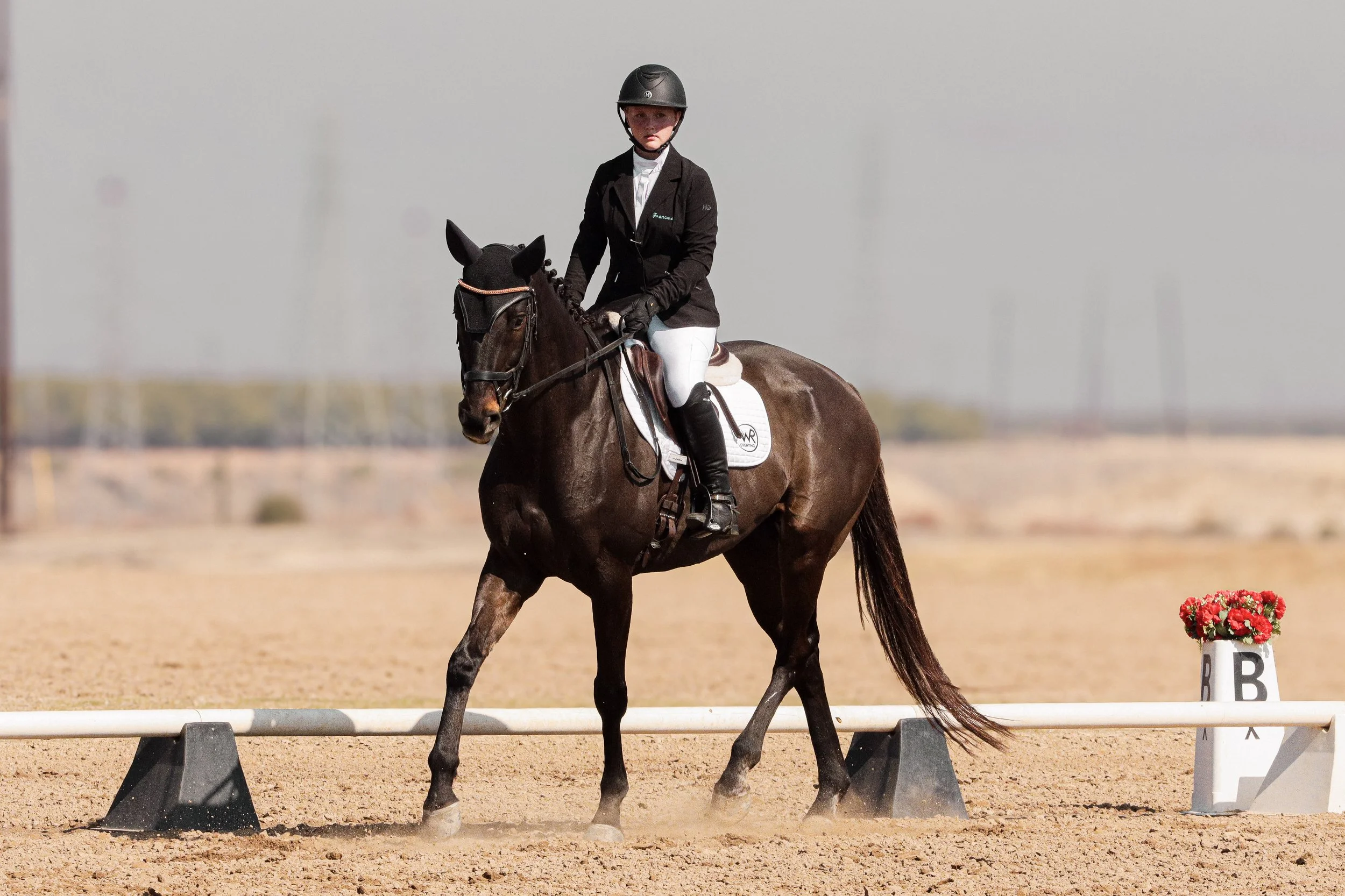 A young girl dressed in equestrian attire riding a horse in a dressage arena, with a potted plant with red flowers and a sign marked 'B' nearby.