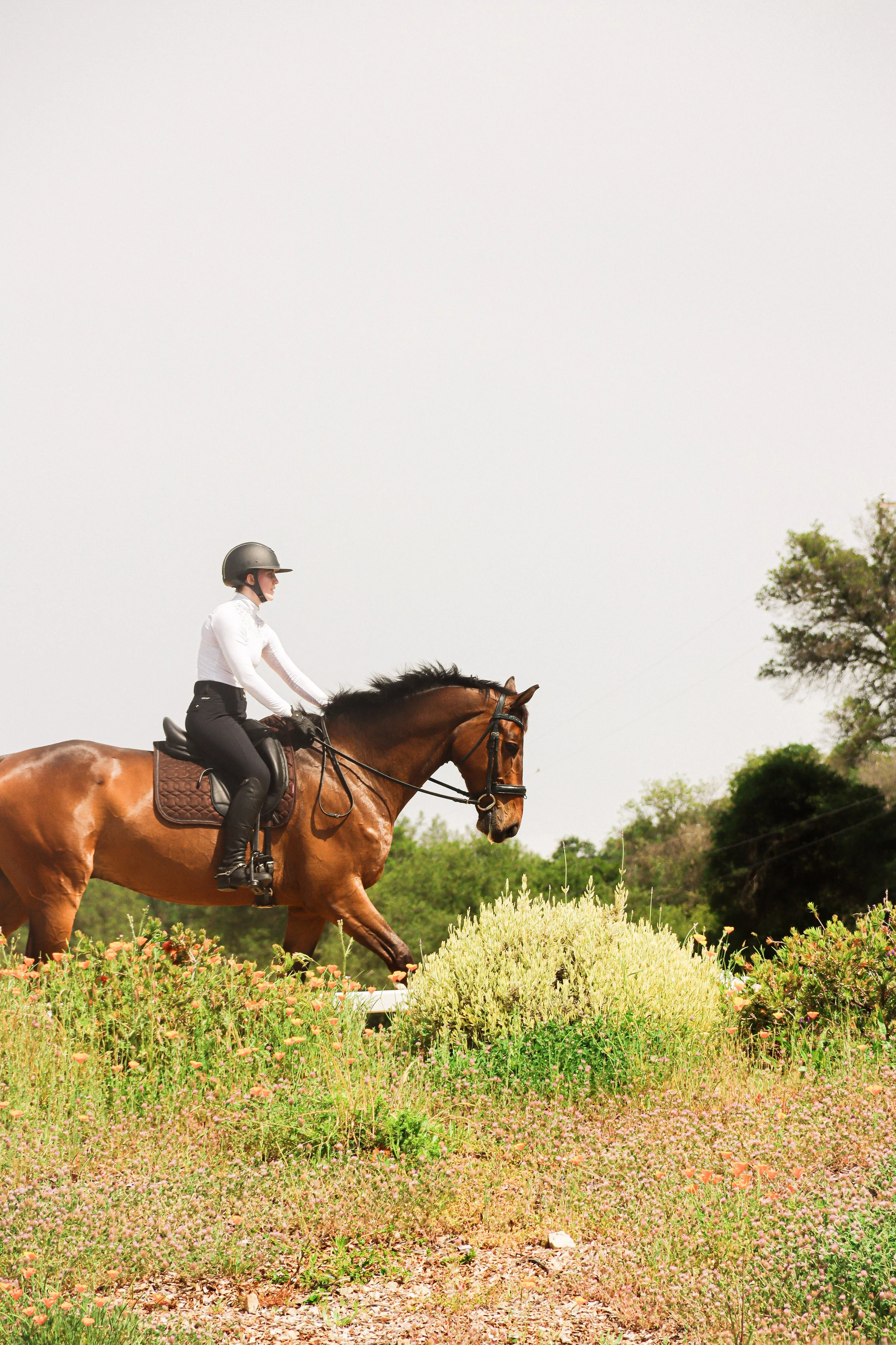 A woman riding a brown horse through a field of wildflowers on a cloudy day.
