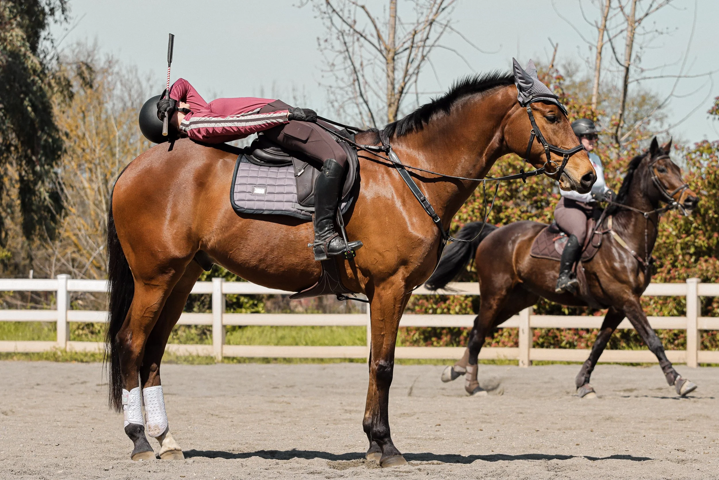 A person lying sideways on a brown horse during a riding session. They are wearing a pink jacket, dark riding pants, gloves, and a helmet. The horse has a saddle, bridle, and white leg wraps, and the scene is set outdoors with trees and a white fence