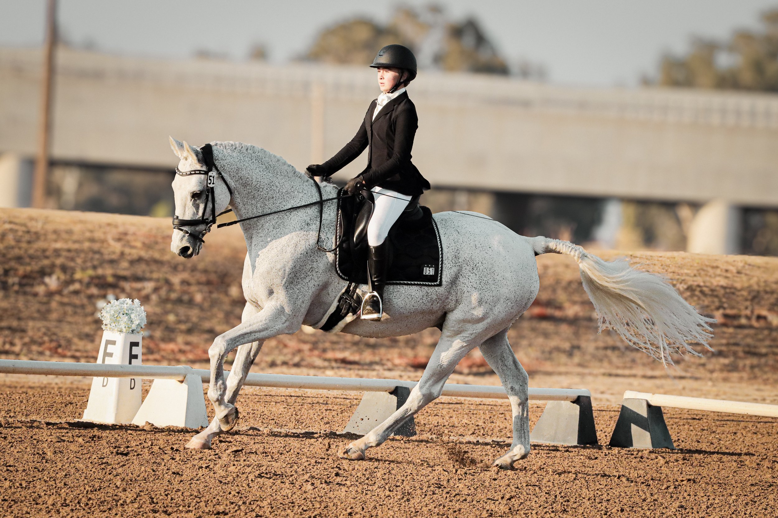 A woman in equestrian attire, including a black helmet, black jacket, white breeches, and black riding boots, rides a gray horse with a speckled coat during a competition. The horse is moving through a dressage arena marked by white signs with black 
