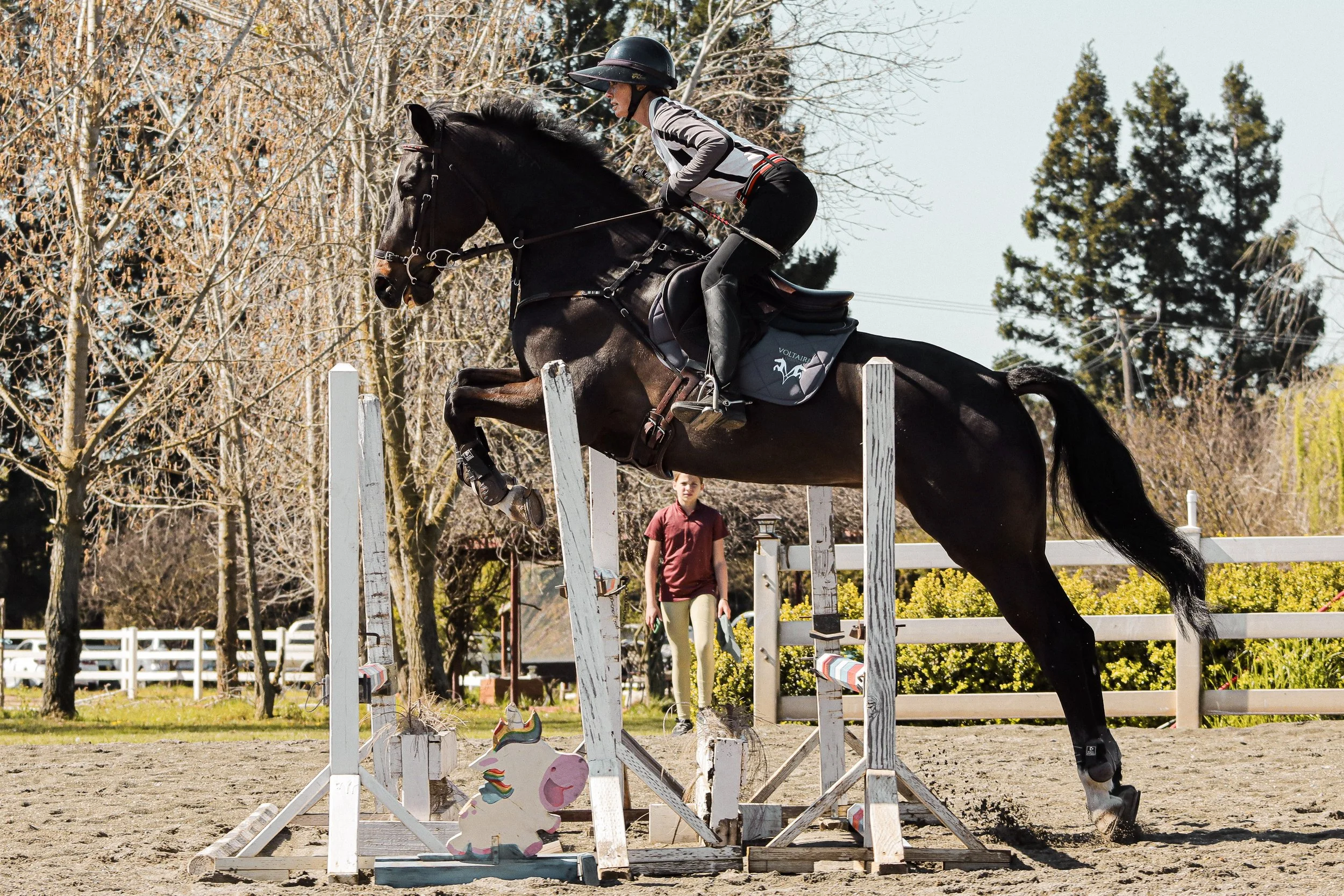 A person riding a black horse over a jump obstacle during a horseback riding event on an outdoor arena with trees and fence in the background.