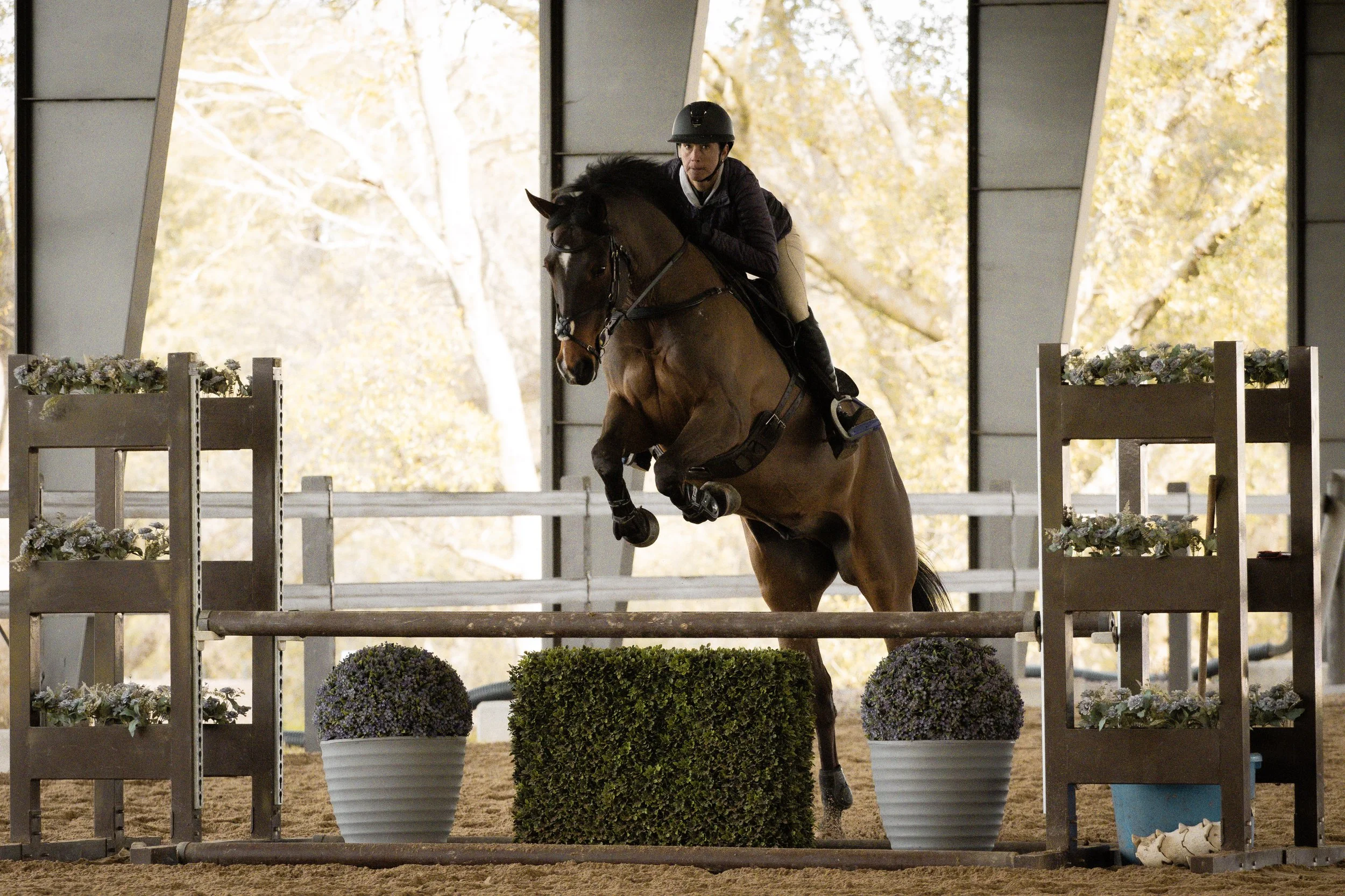 A person riding a horse over a show jumping obstacle in an indoor arena with autumn trees visible outside.