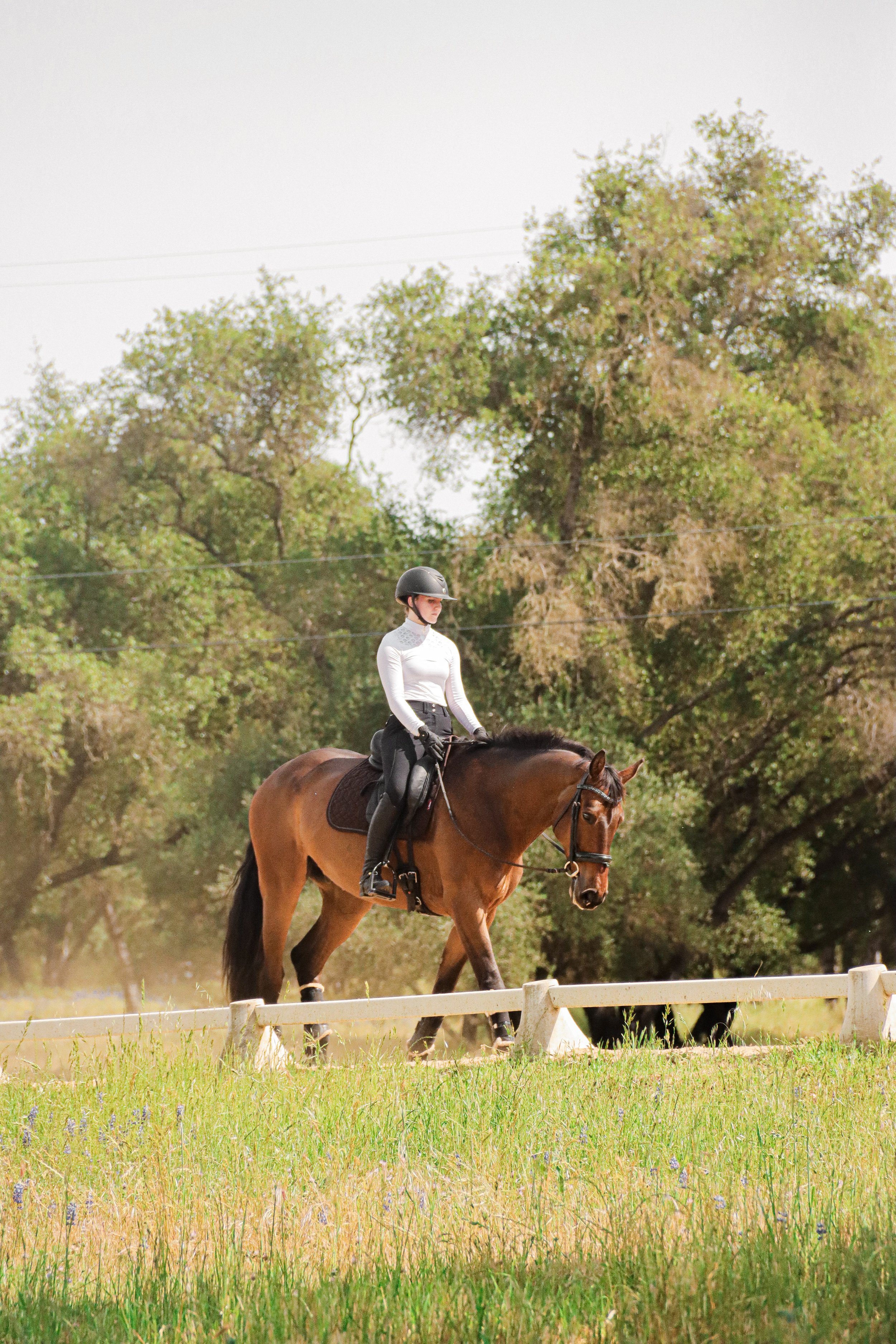 A woman riding a brown horse on a grassy field with trees in the background.