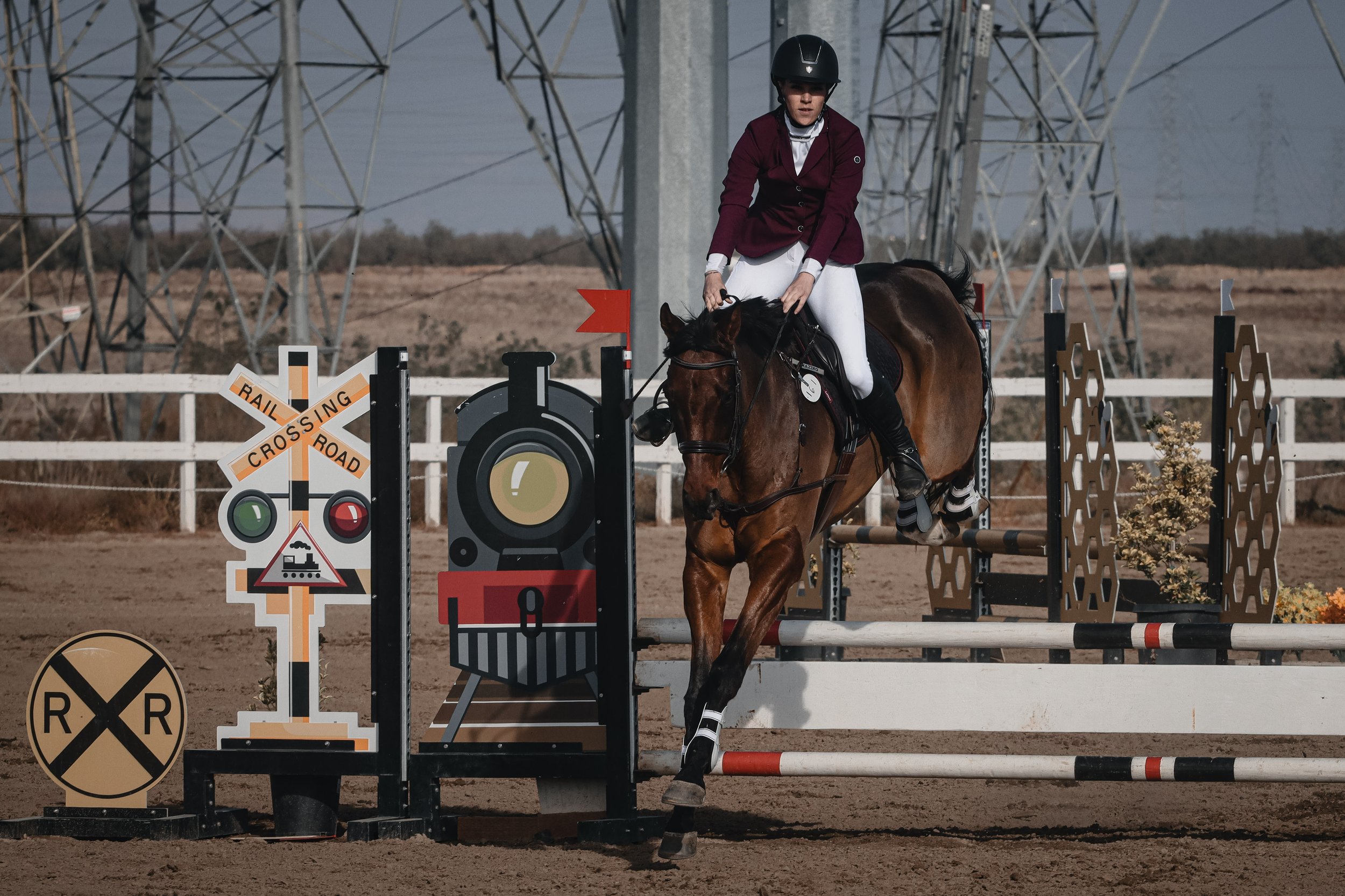 A person dressed in equestrian attire riding a horse over a show jumping obstacle in an outdoor arena, with electrical towers and landscape in the background.