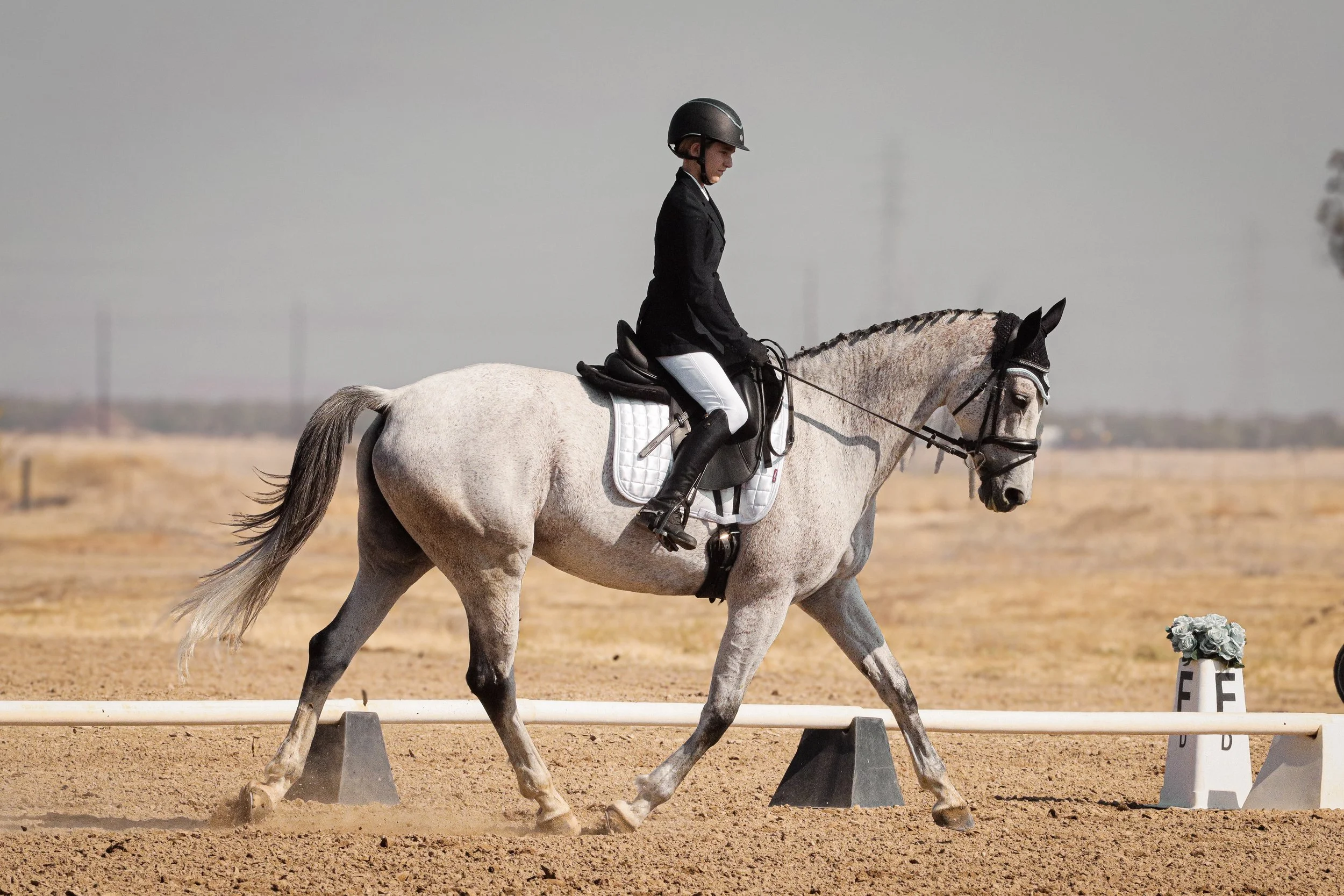 A person dressed in equestrian attire riding a gray horse during a dressage competition in an outdoor arena with a clear sky and distant landscape.