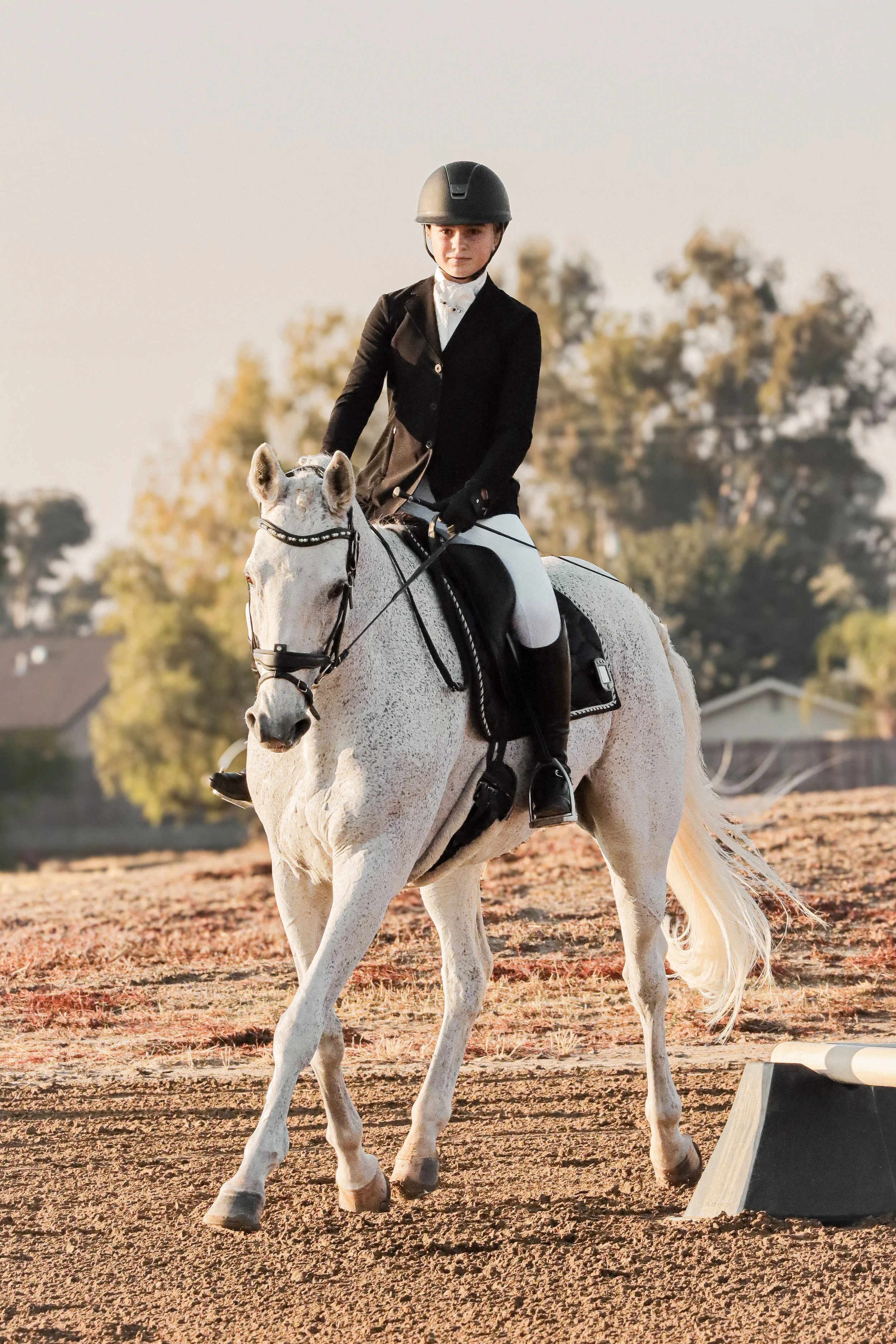 A young girl in a riding helmet and formal riding attire riding a white horse with a gray mane and tail on a dirt riding arena with trees in the background during sunset.