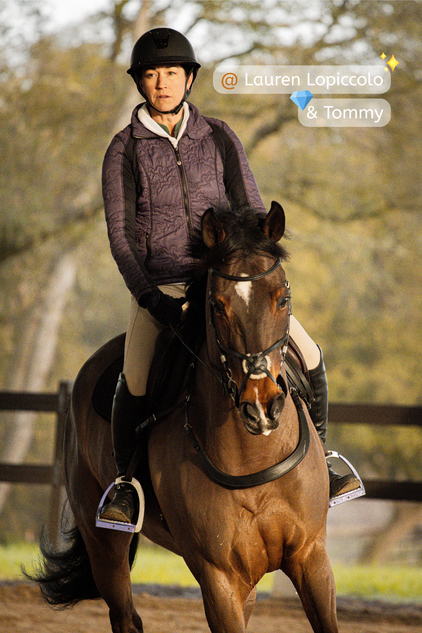 A woman riding a brown horse in an outdoor riding arena, wearing a helmet and riding gear, with a background of trees and a wooden fence.