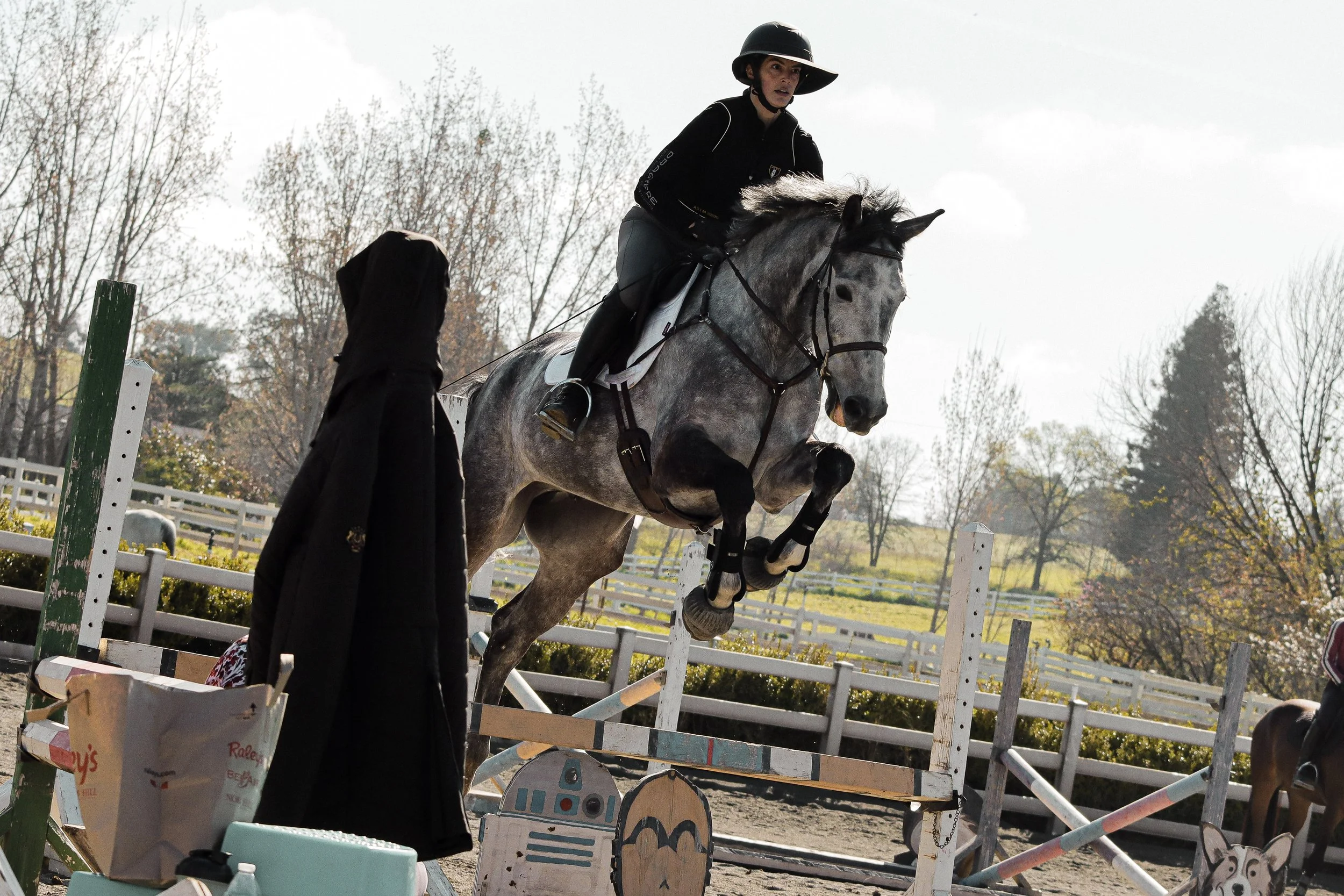 A woman in riding gear and helmet riding a gray horse over a jump during an equestrian event outdoors. There are trees and a white fence in the background.