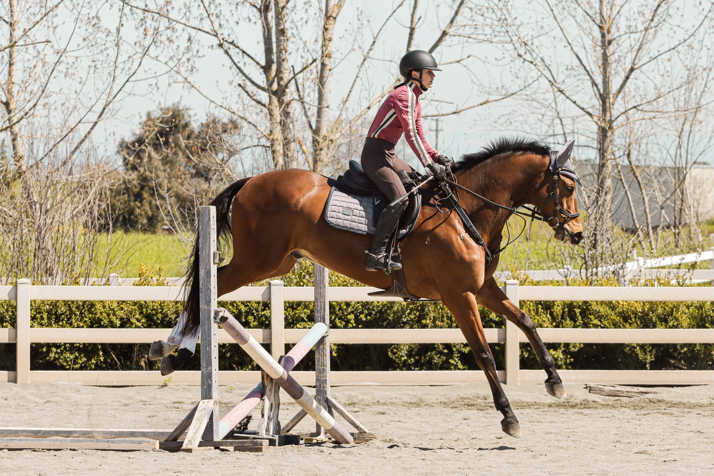 A person riding a brown horse over a jump in an outdoor equestrian arena during daytime.