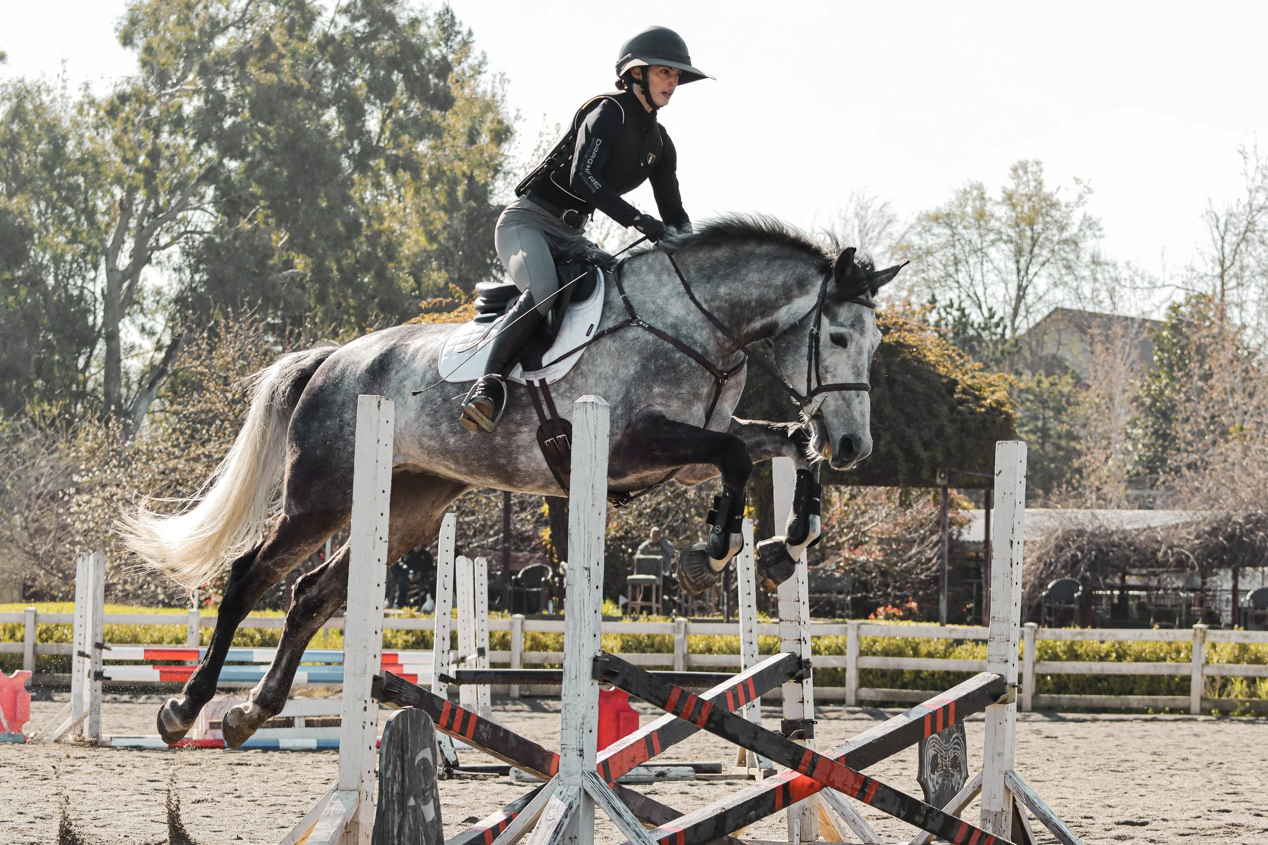 A female equestrian rider wearing a helmet and black riding jacket guides a gray horse as it jumps over a white and colored obstacle during a show jumping competition outdoors.