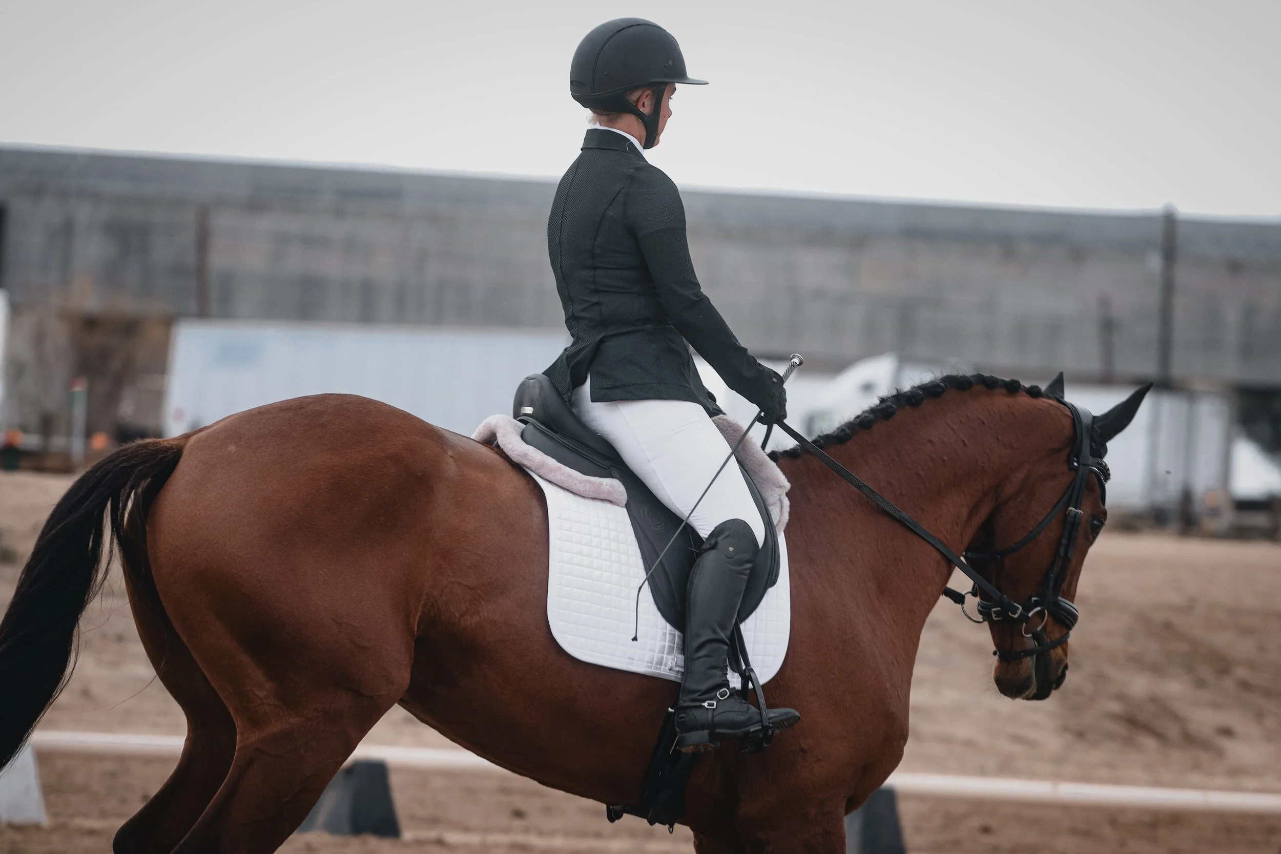 A rider dressed in a black riding jacket, white riding pants, and a black riding helmet, sits on a brown horse with a white saddle pad in an outdoor equestrian arena.
