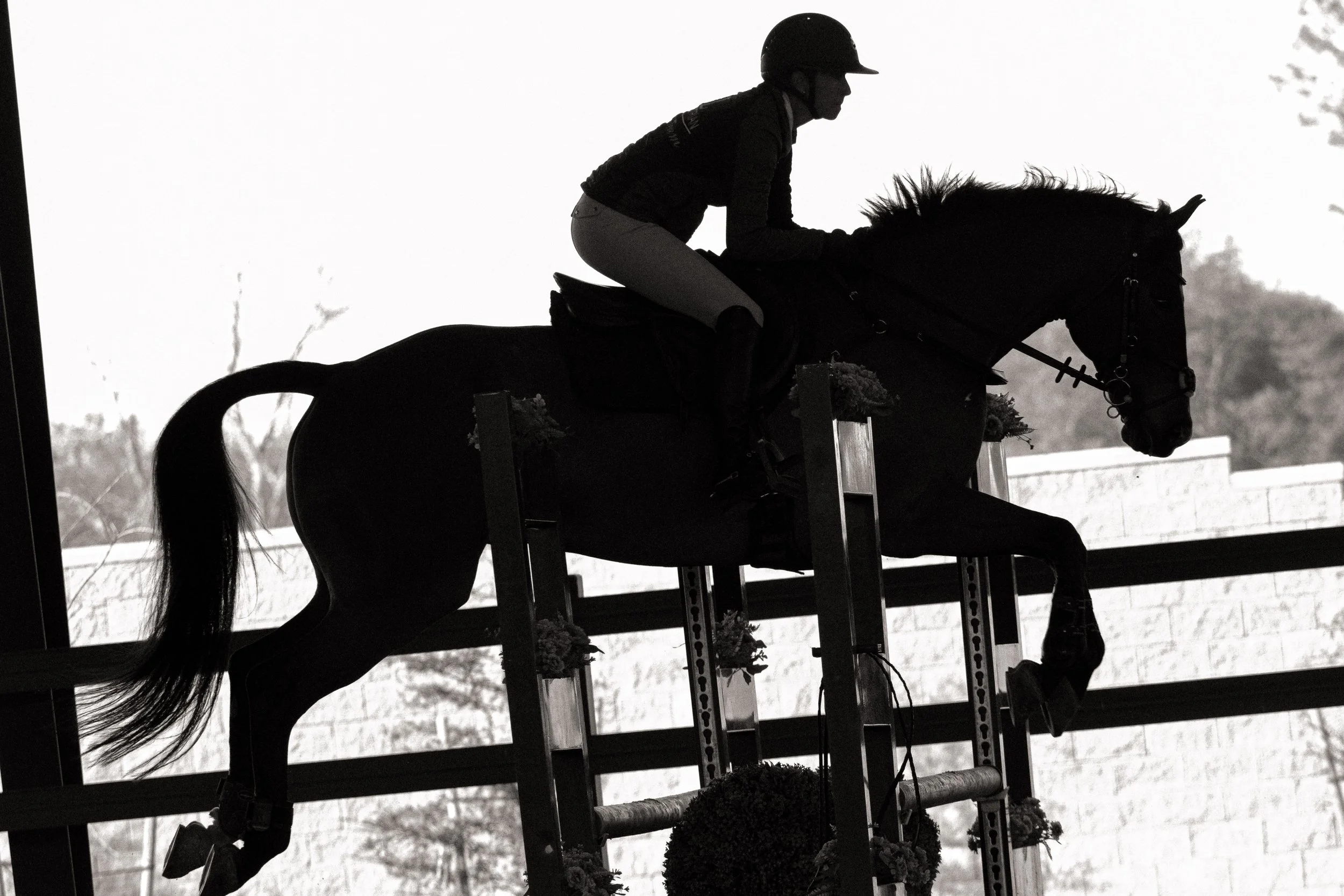 Silhouette of a person riding a horse during a show jumping event.