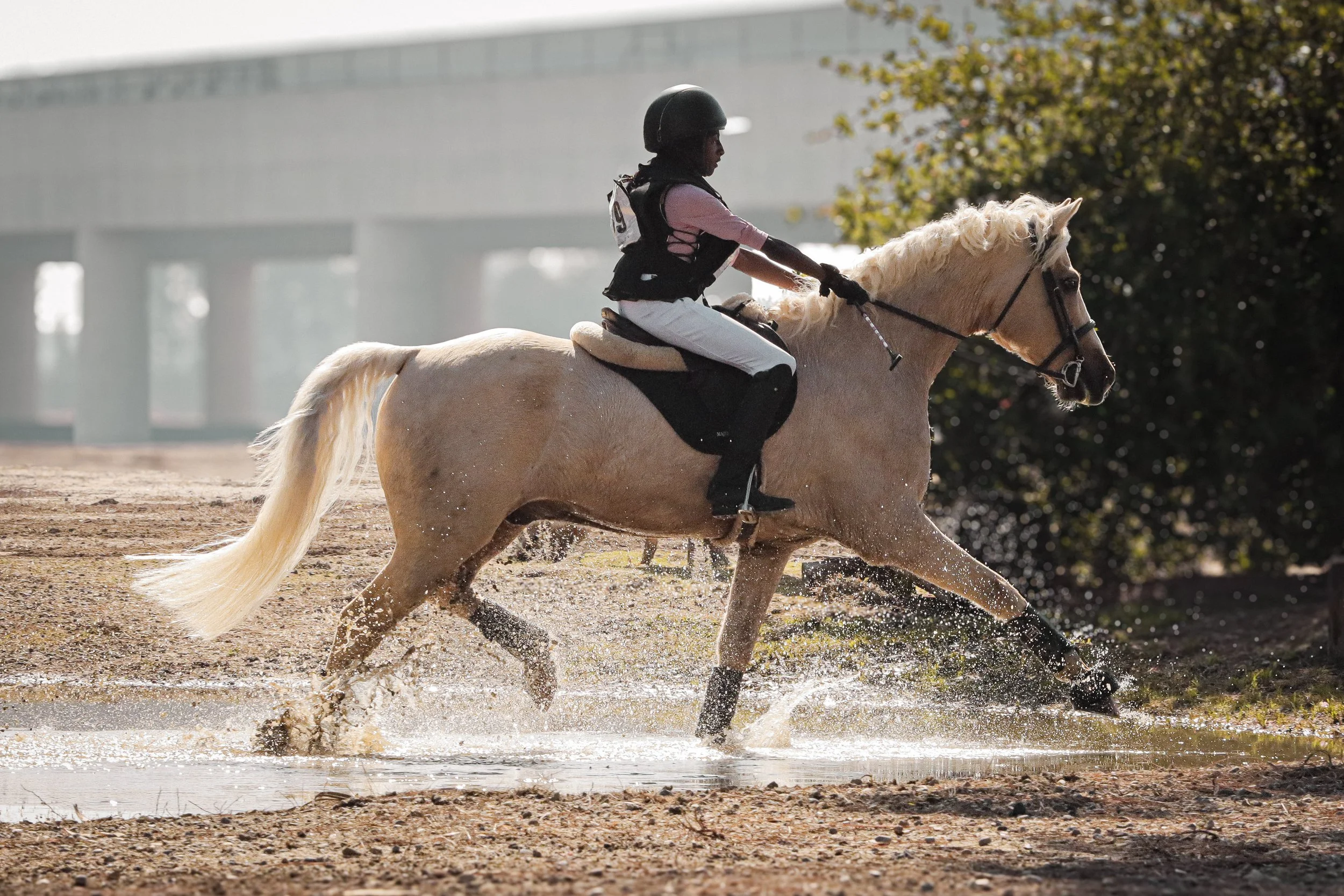 A person riding a light-colored horse through water, wearing a black helmet, pink shirt, black vest, and white pants, with greenery and a bridge in the background.