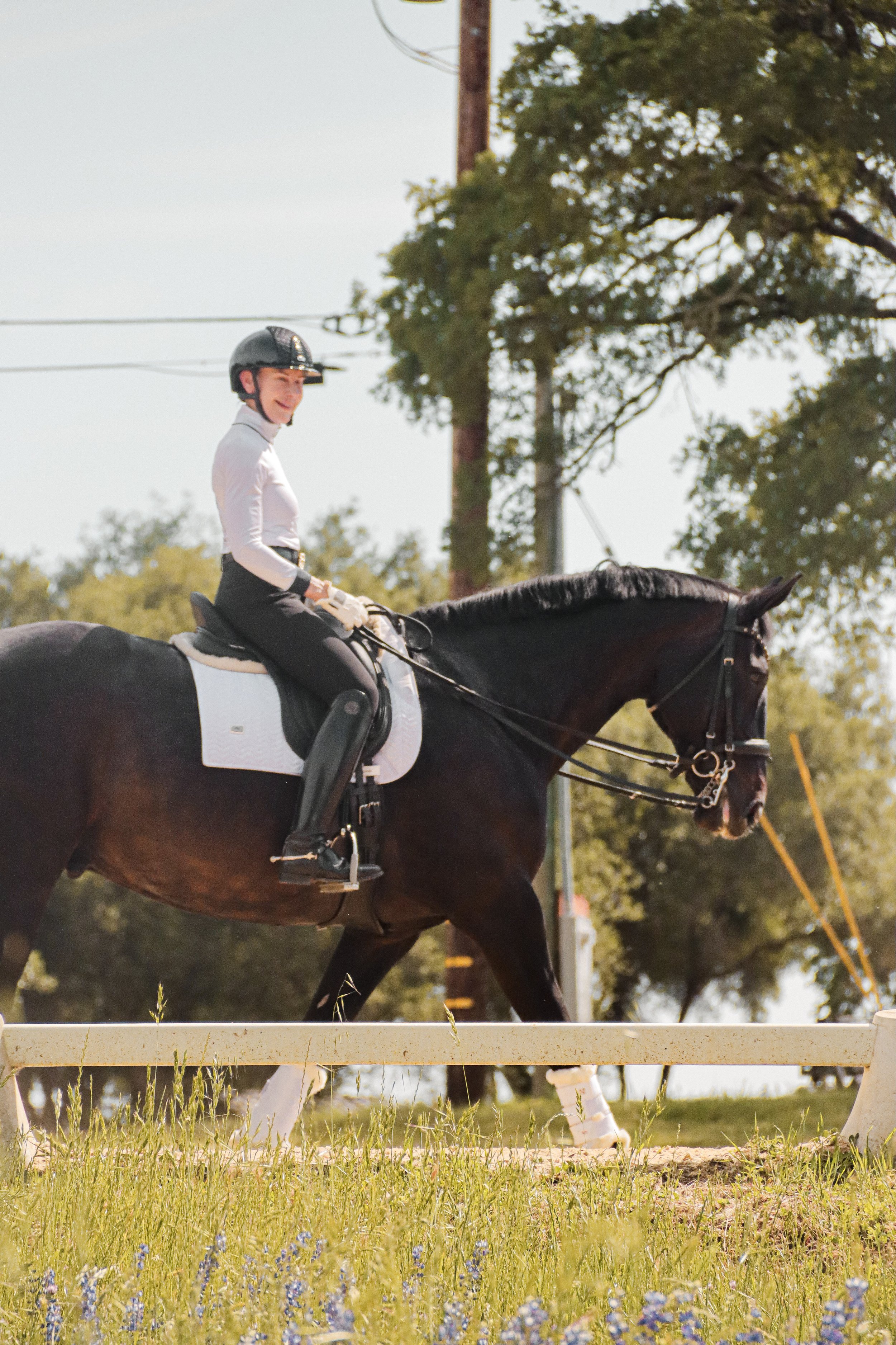 A rider in a white shirt and black helmet riding a dark brown horse on a grassy field, with trees and power lines in the background.