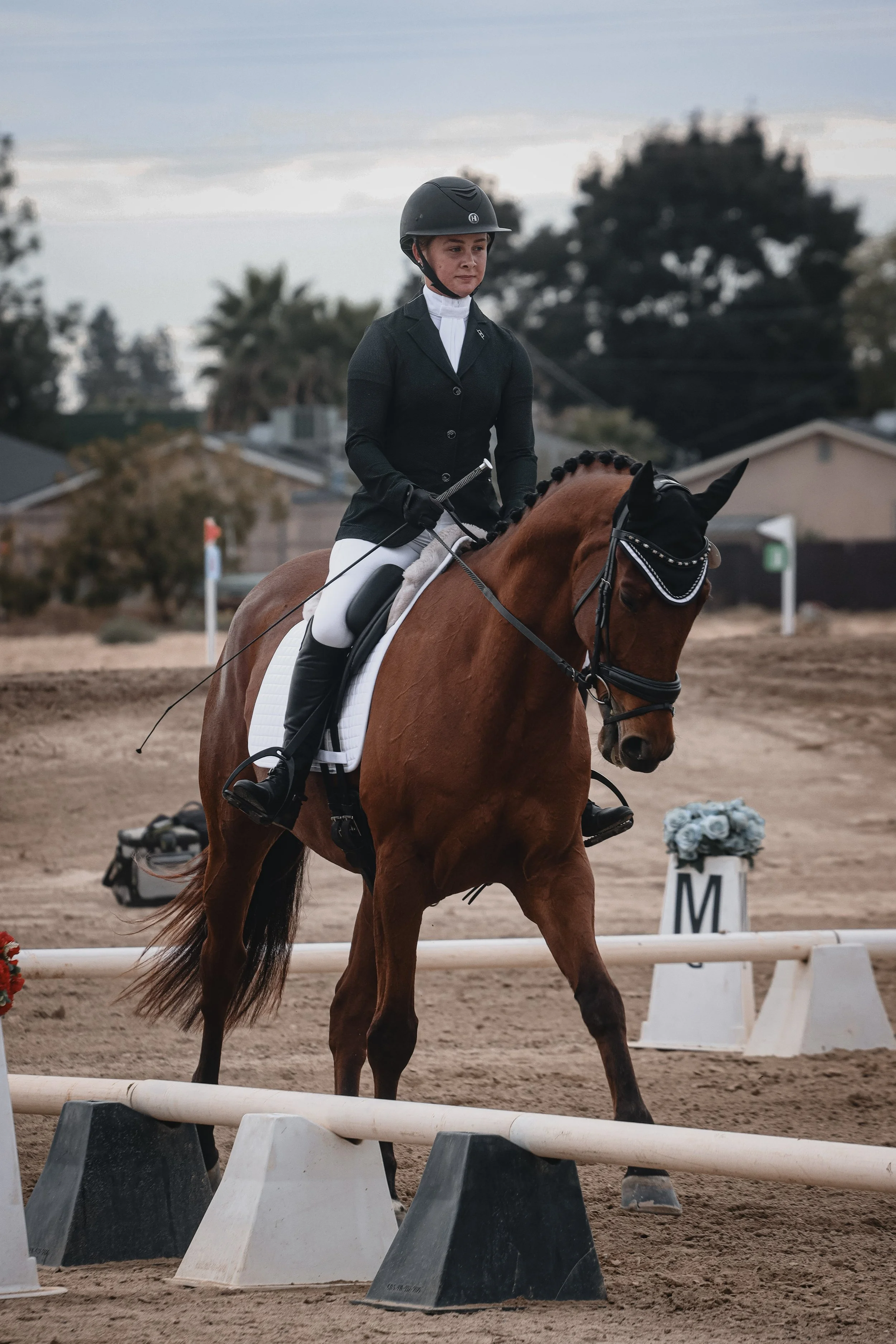 A woman riding a horse during a dressage competition, wearing a black helmet, black riding jacket, white riding pants, and gloves, with a saddle and bridle, on an outdoor sandy arena with trees and houses in the background.