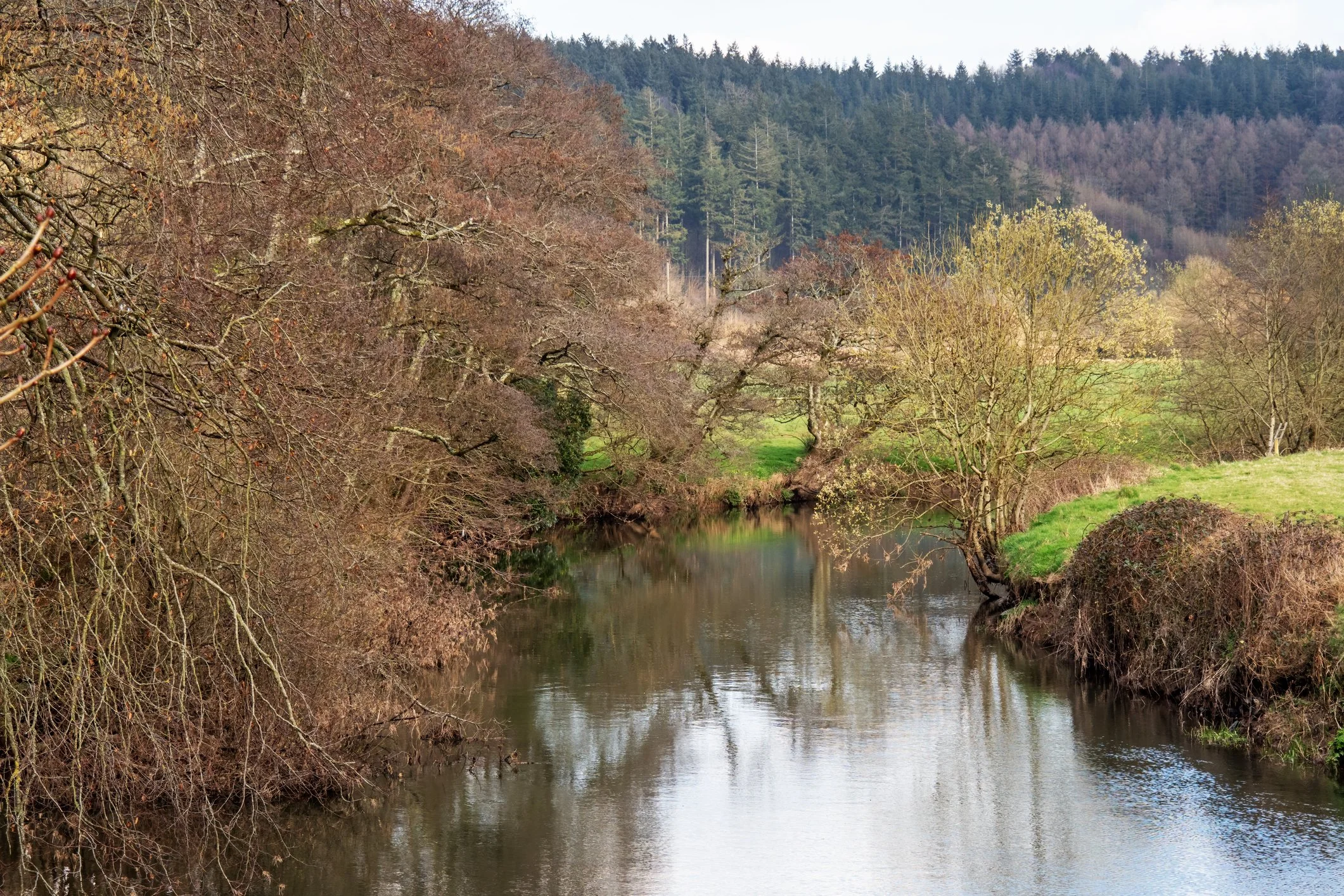 Tranquil river winding through a wooded countryside valley with leafless trees, green meadows, and evergreen forest