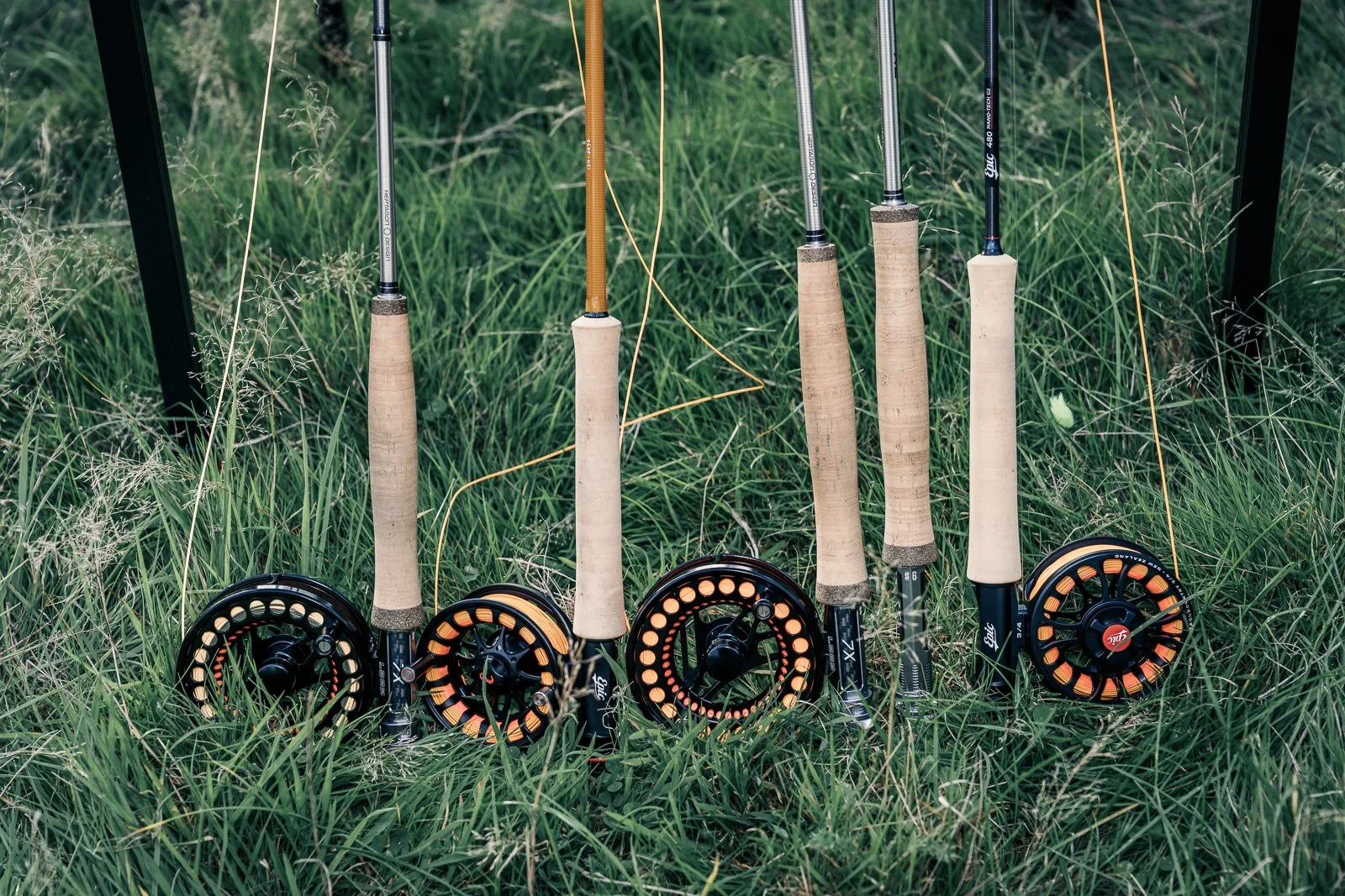 Five fly fishing rods with cork handles and reels arranged in tall grass.
