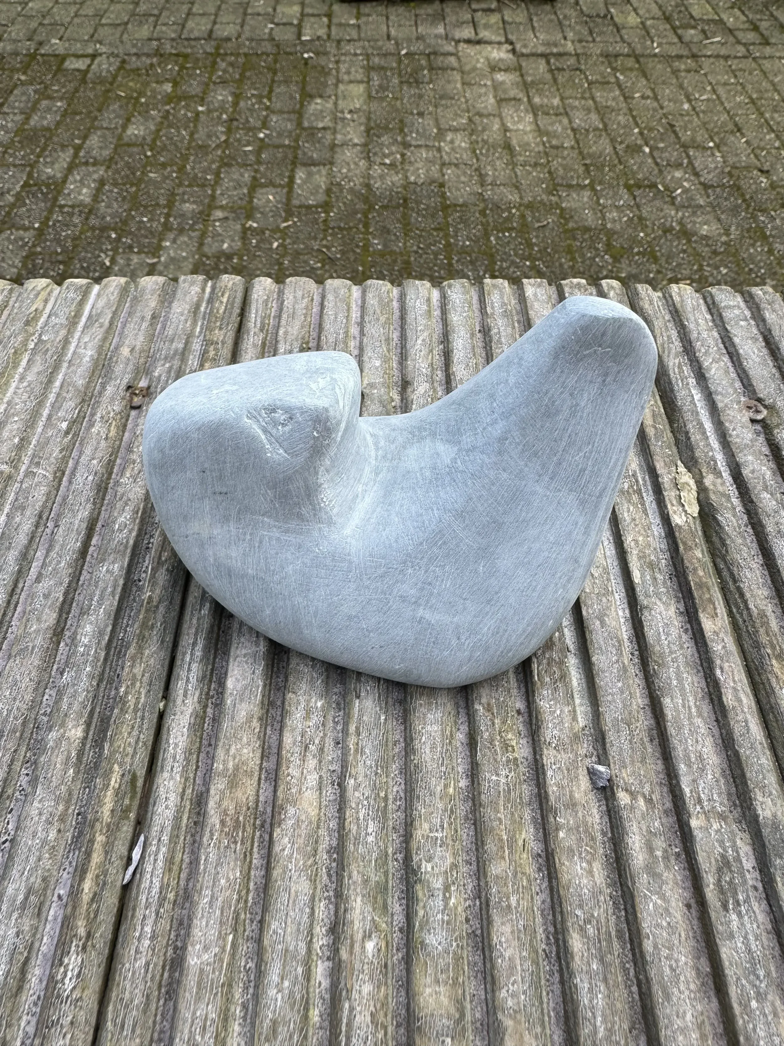 De steen zeehond langzaam in wording.
