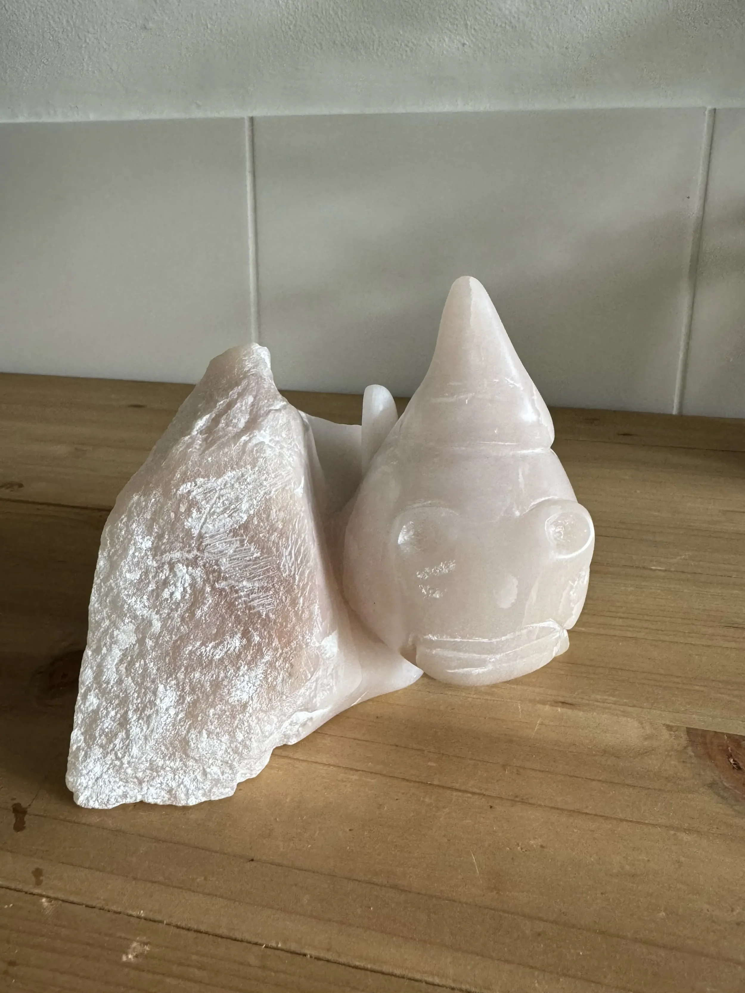 NEUSHOORN VOOR