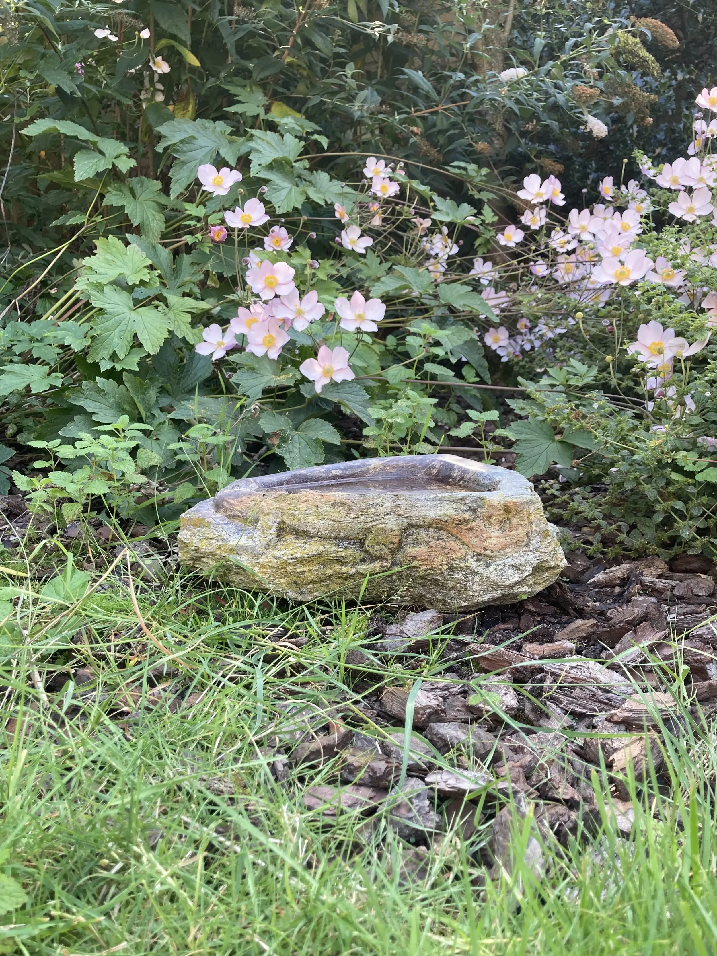 Lazy Lizzard, een vogeldrinkbak van kobalt serpentijn steen. Op de rand van de bak is een hagedis uitgebeiteld.