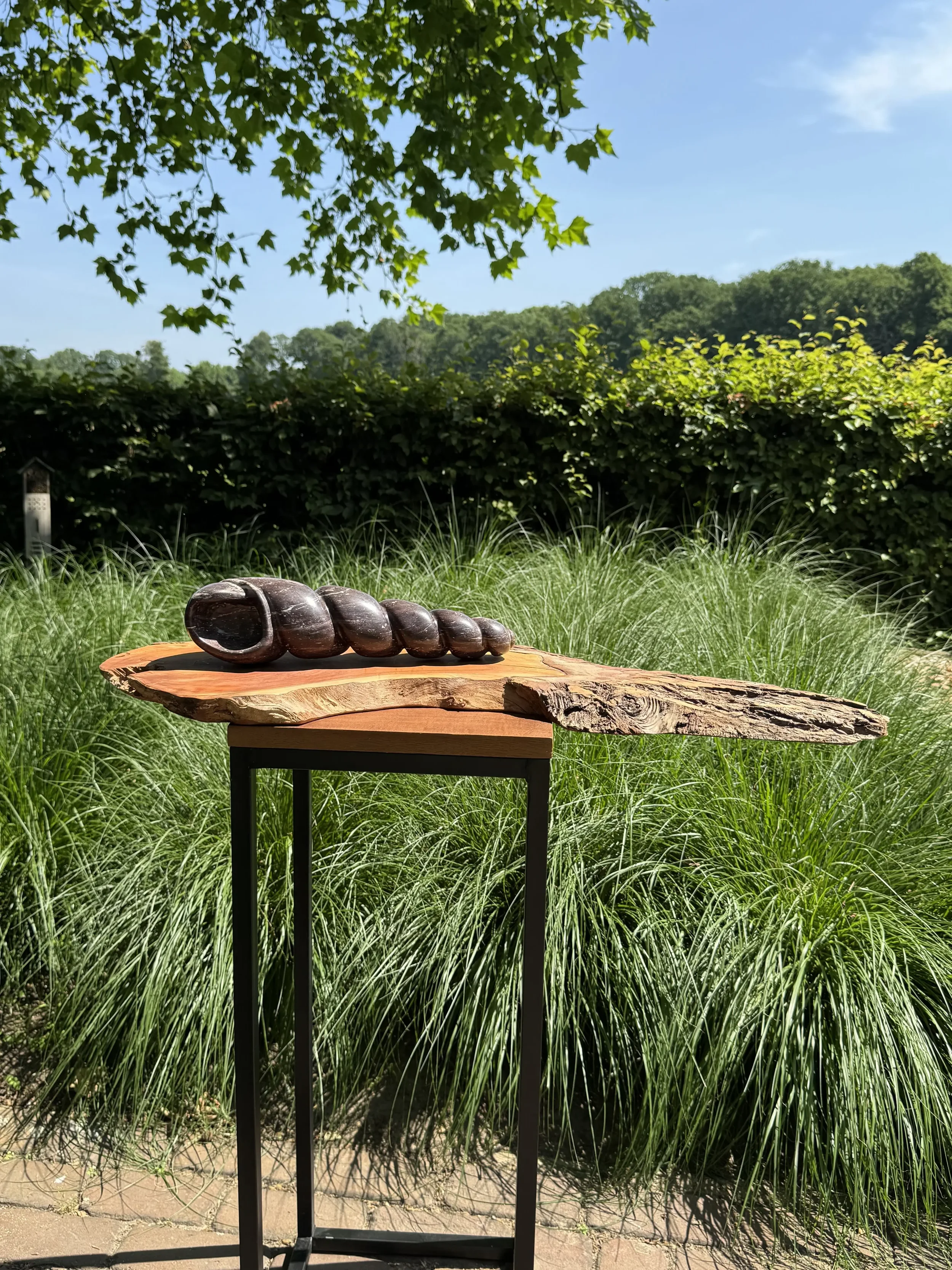 Het beeld Verstilde werveling van kobalt serpentijn op zijn kersenhoutenplankop een sokkel gelegen in de tuin