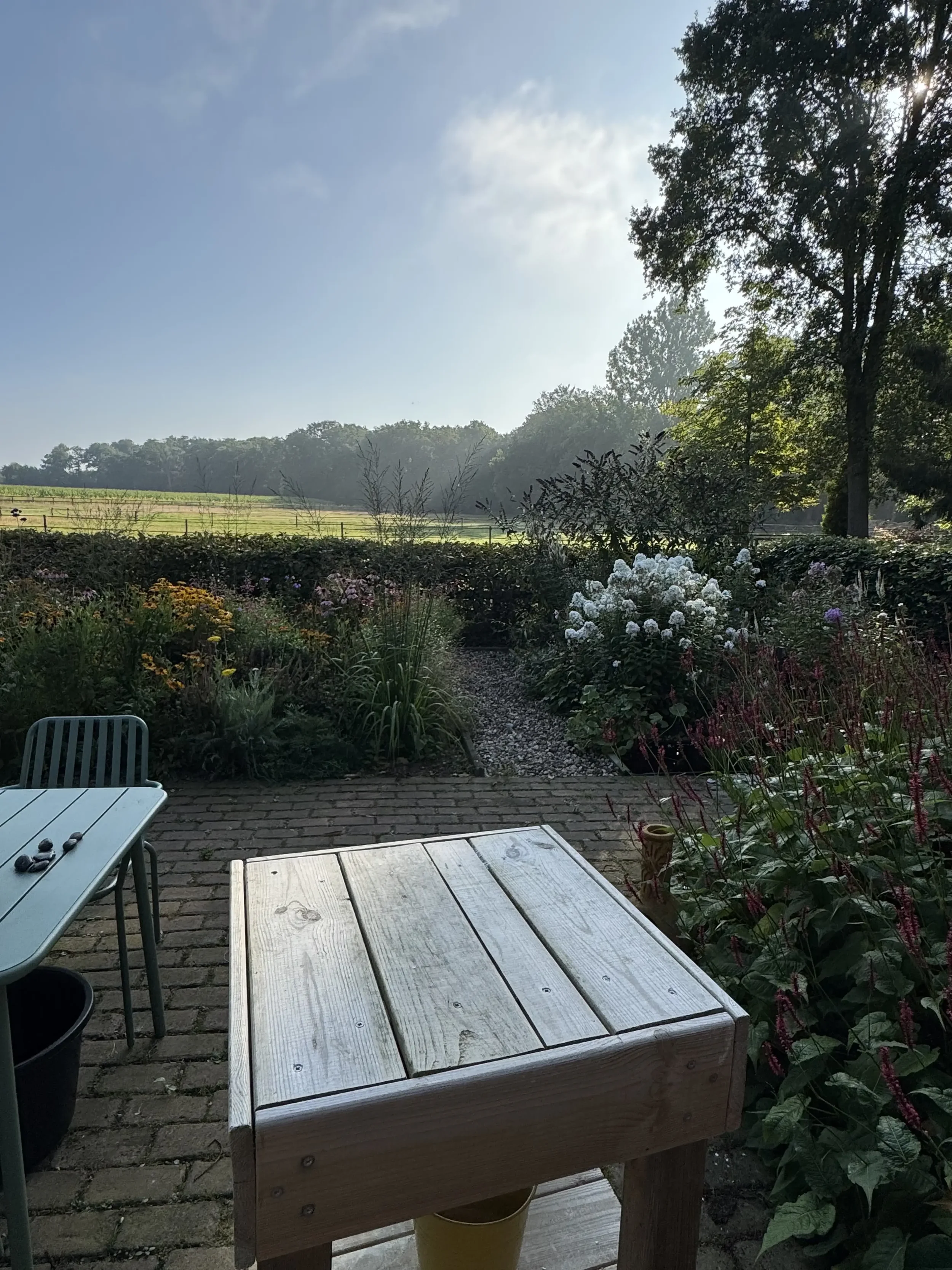 Een houten beeldhouwbok op een terras met een weids uitzicht over een heg naar paardenweides en een bos.