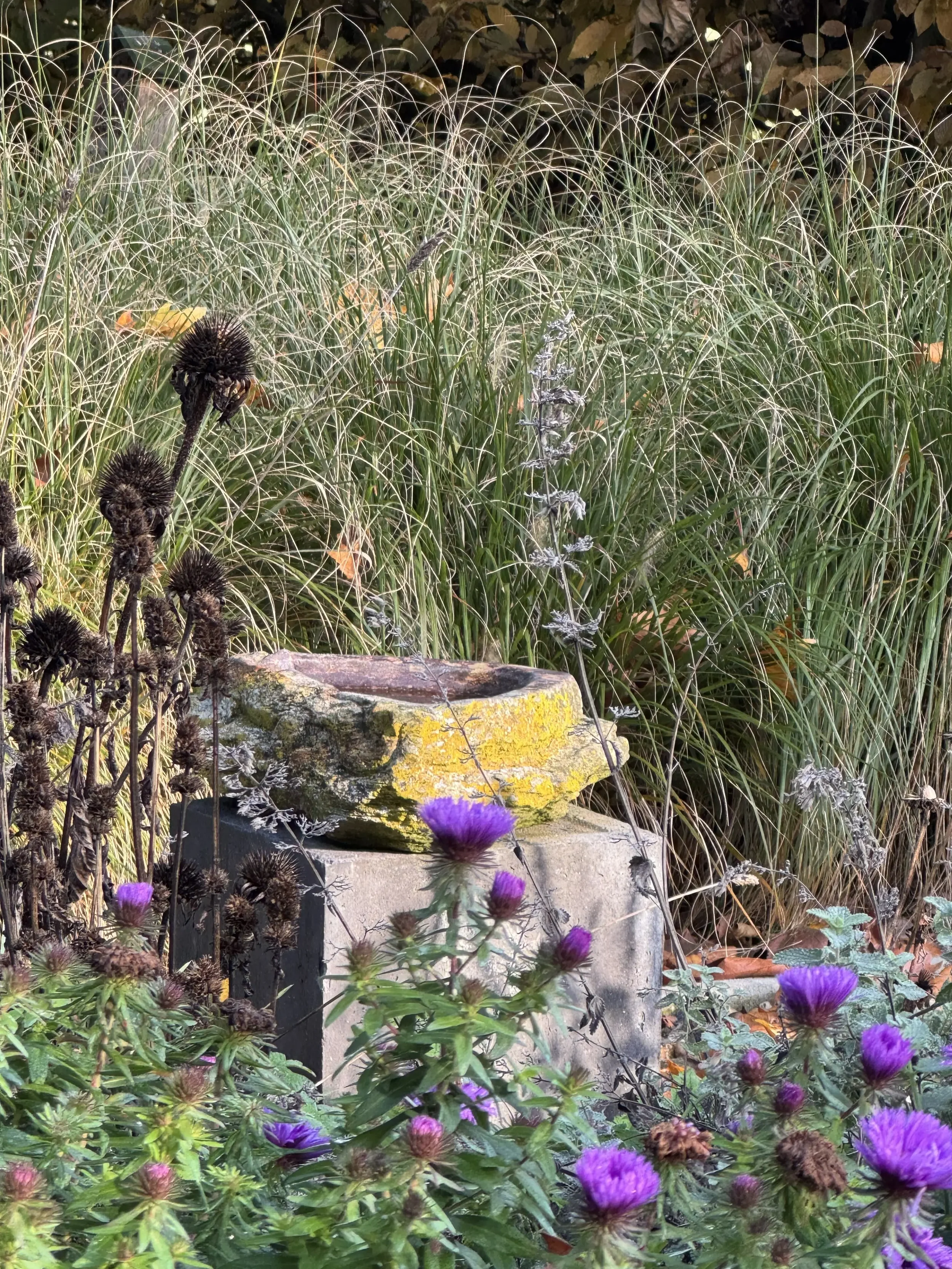 Het beeld Lazy Lizzard (vogeldrinkbak) in de tuin omgeven door bloemen