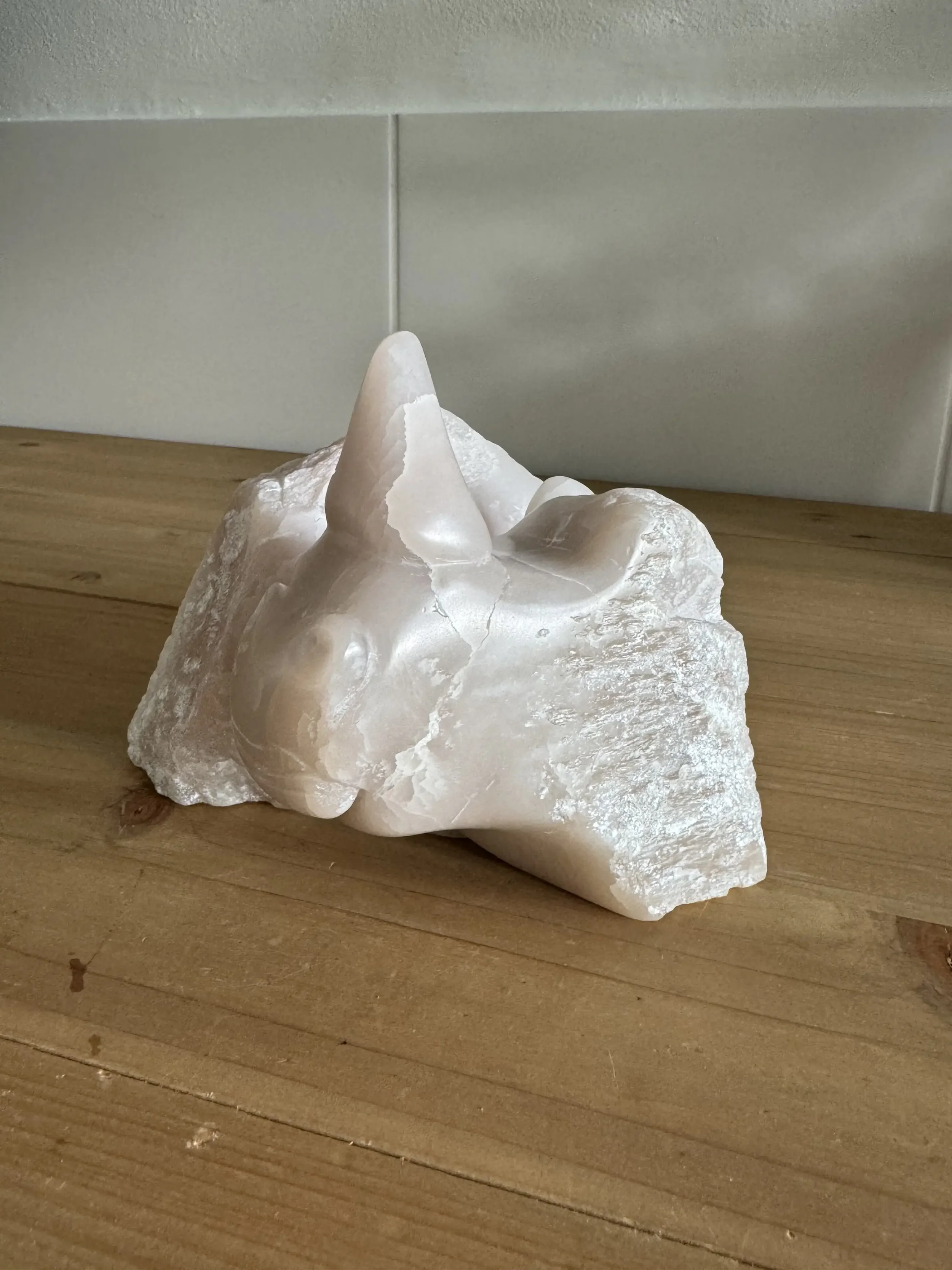NEUSHOORN