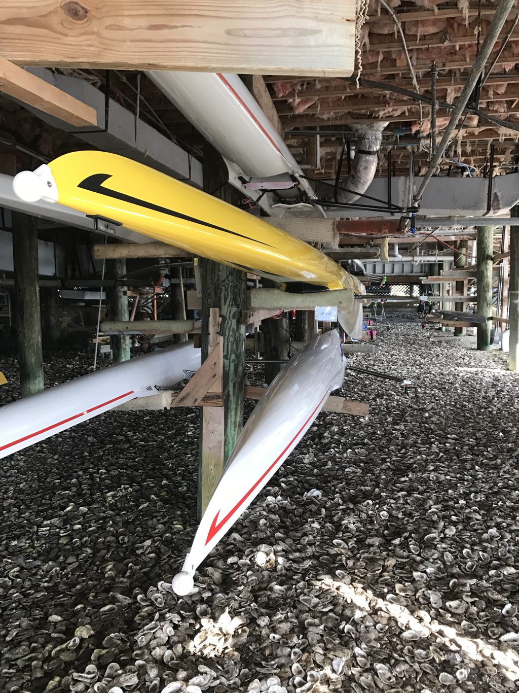 Several rowing shells stored under a wooden structure, with clam shells on the ground.