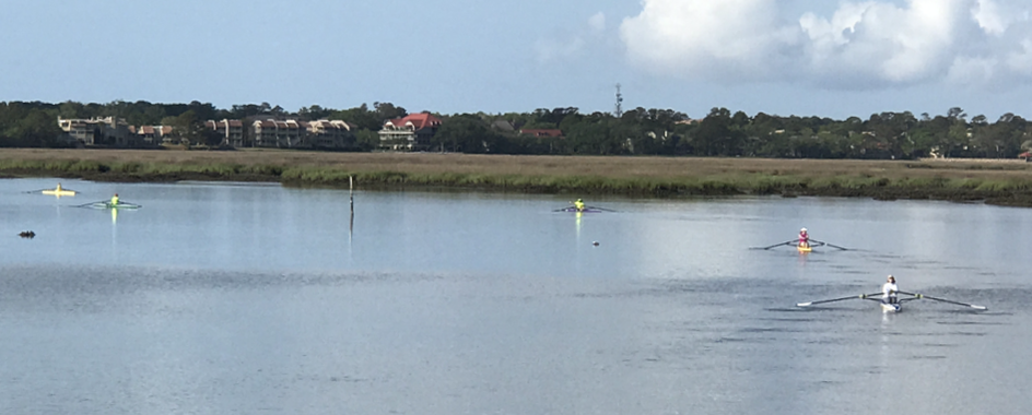 People rowing on a calm body of water with a grassy shoreline and trees in the background.