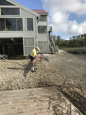 Person releasing a bird from a cage near a house by a body of water.