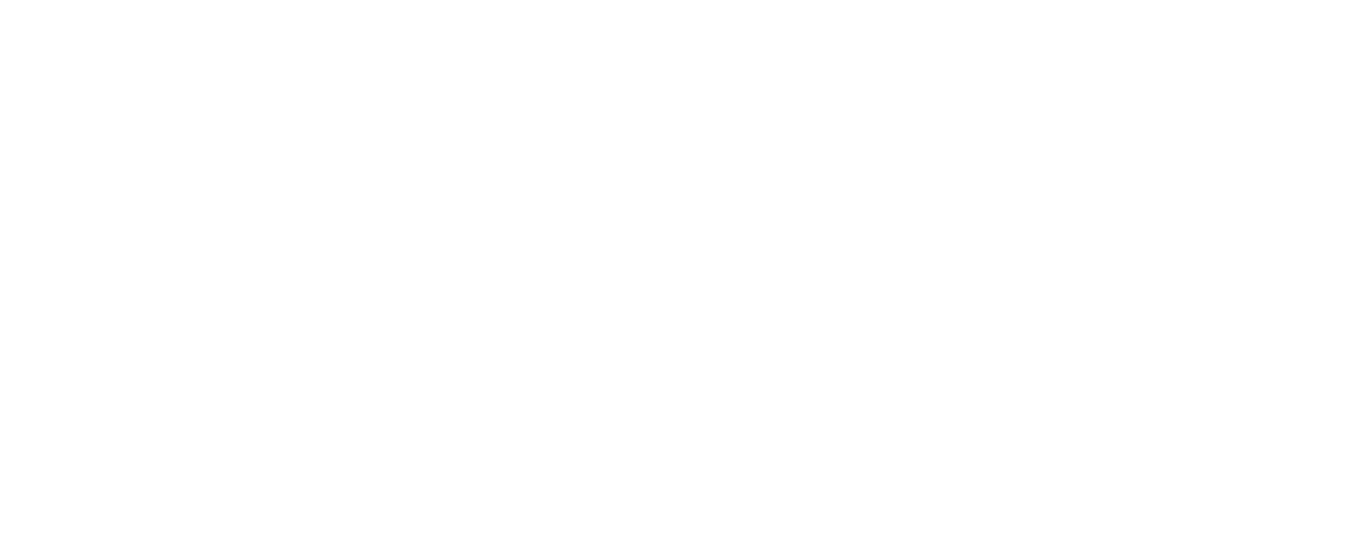 Alpine Strategy LLC | Fractional Strategic Partner