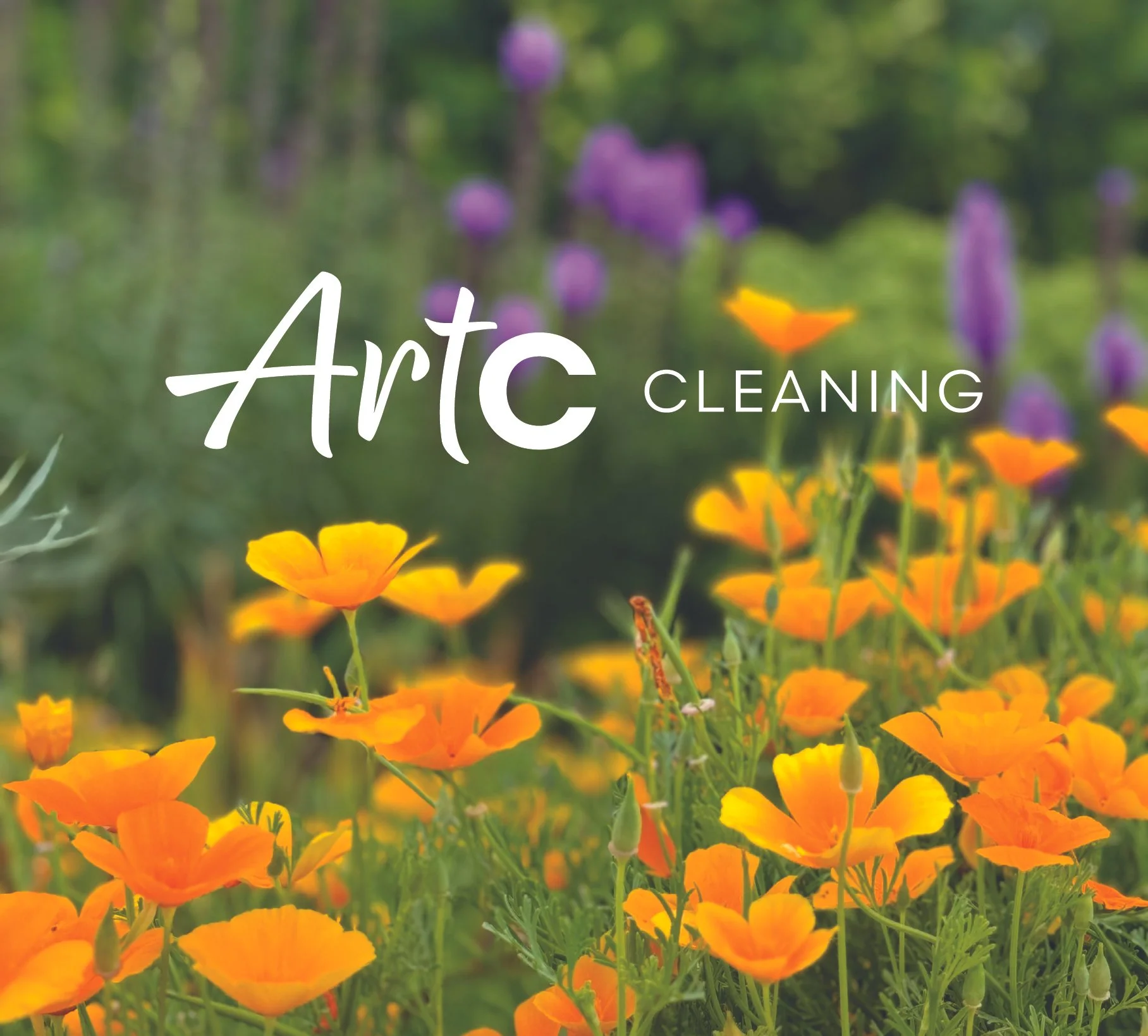 ArtC Cleaning | Creating a Brand