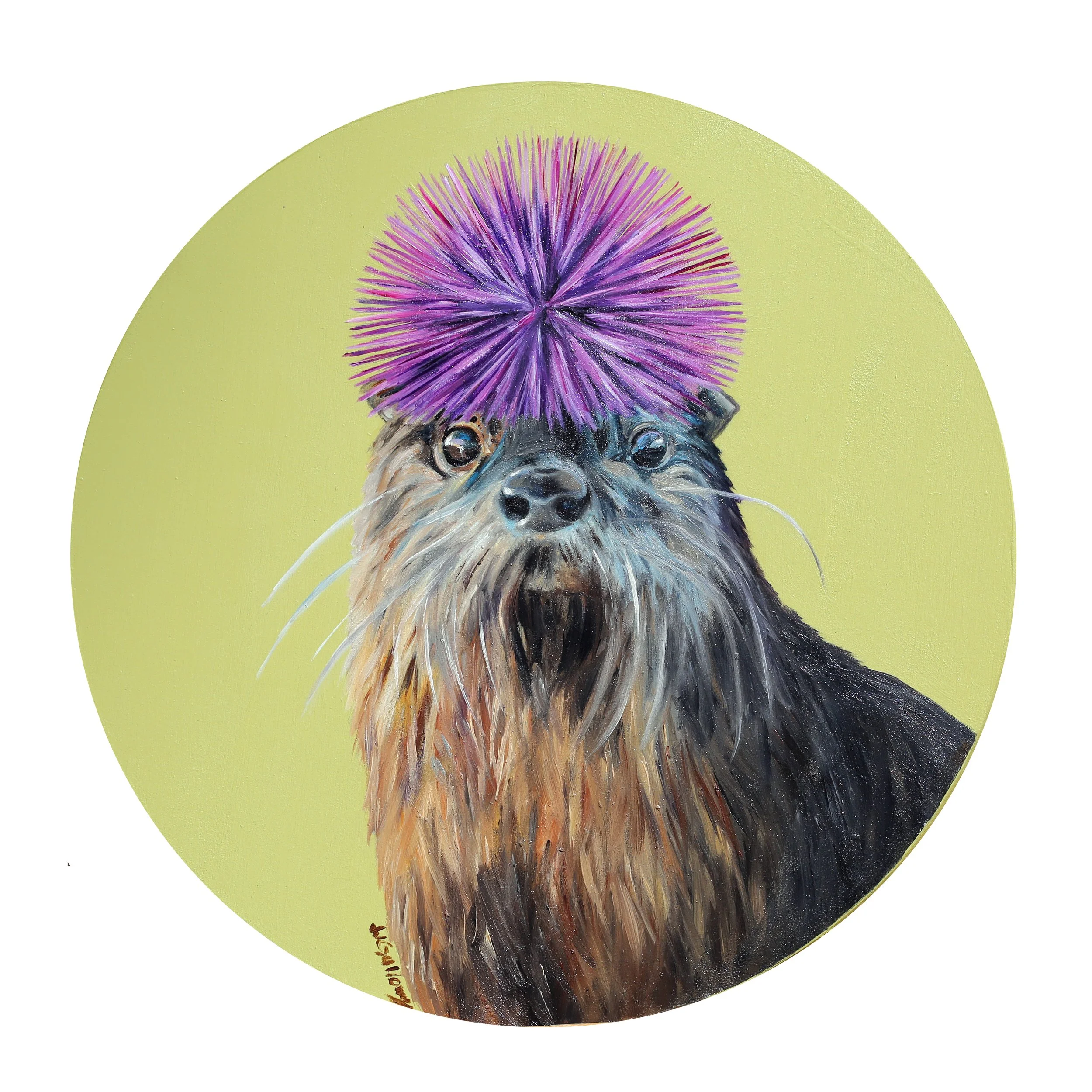 Otter's Purple Urchin