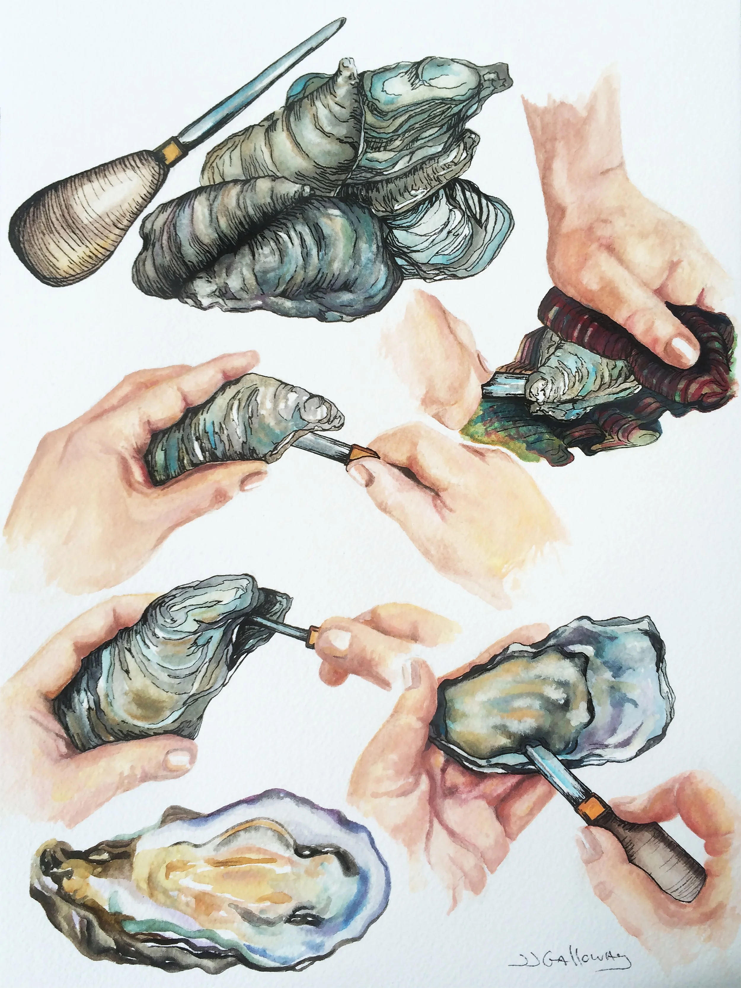 How to Shuck an Oyster