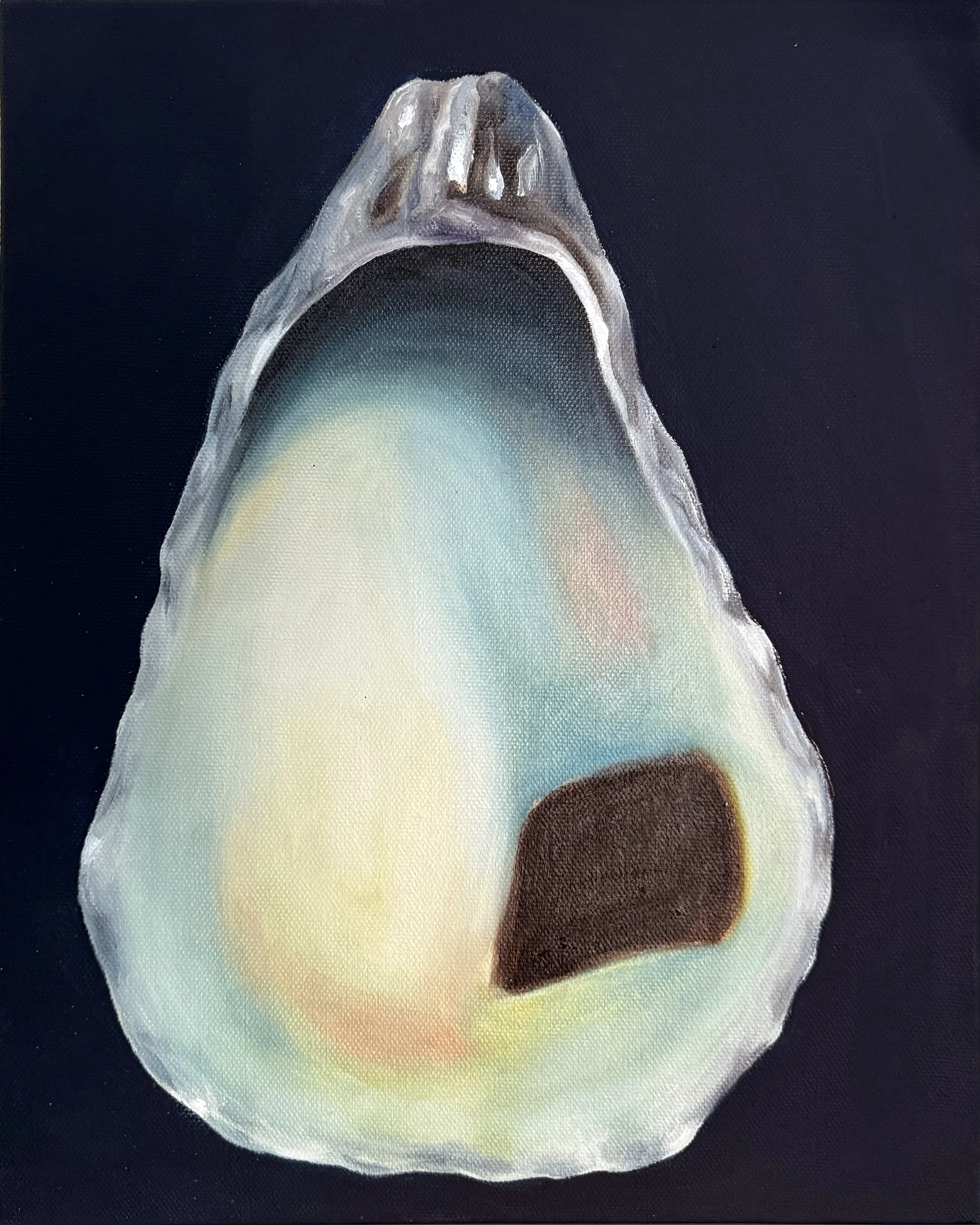 Shucked Shell No.3 copy.jpg