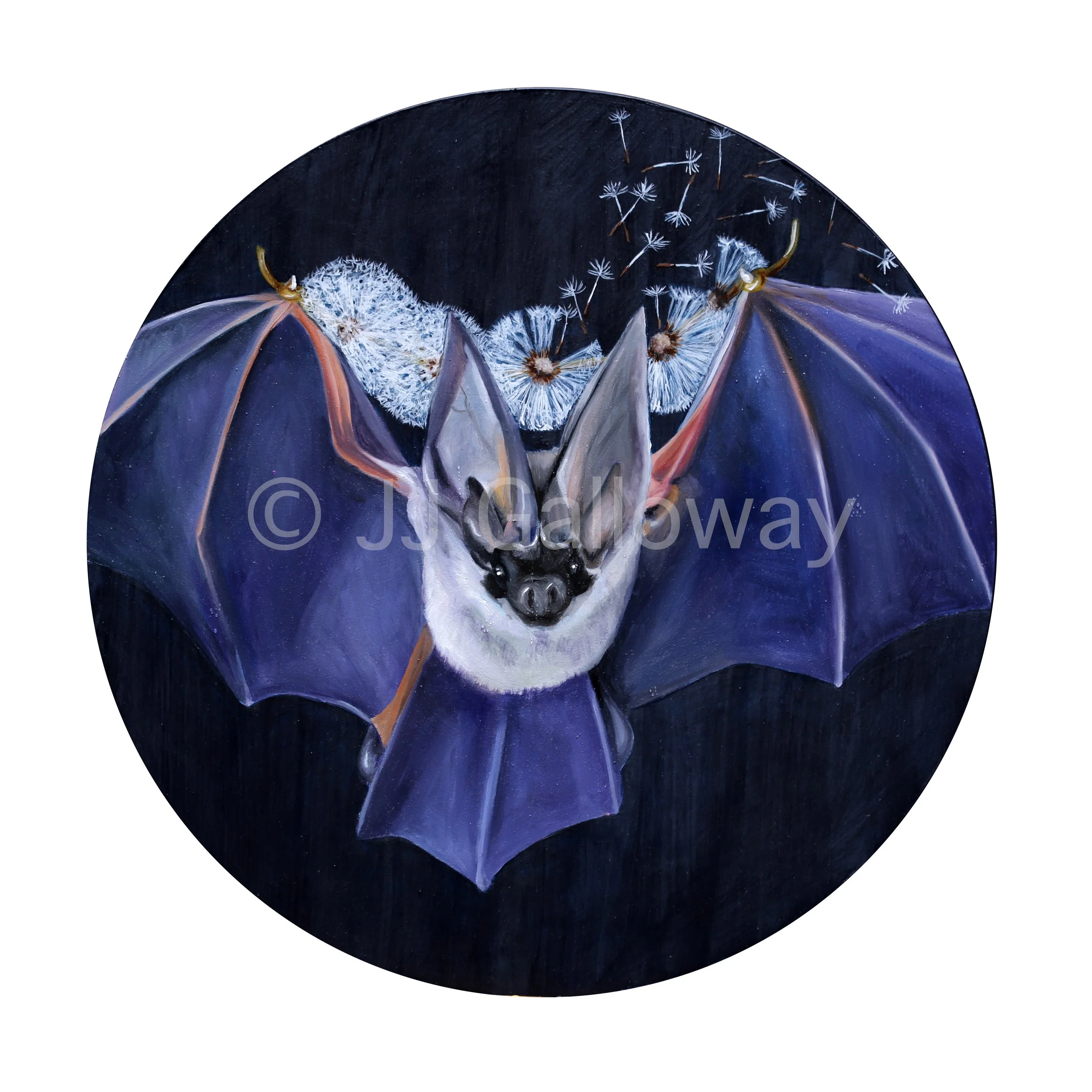 Dandelion Bat Wishes
