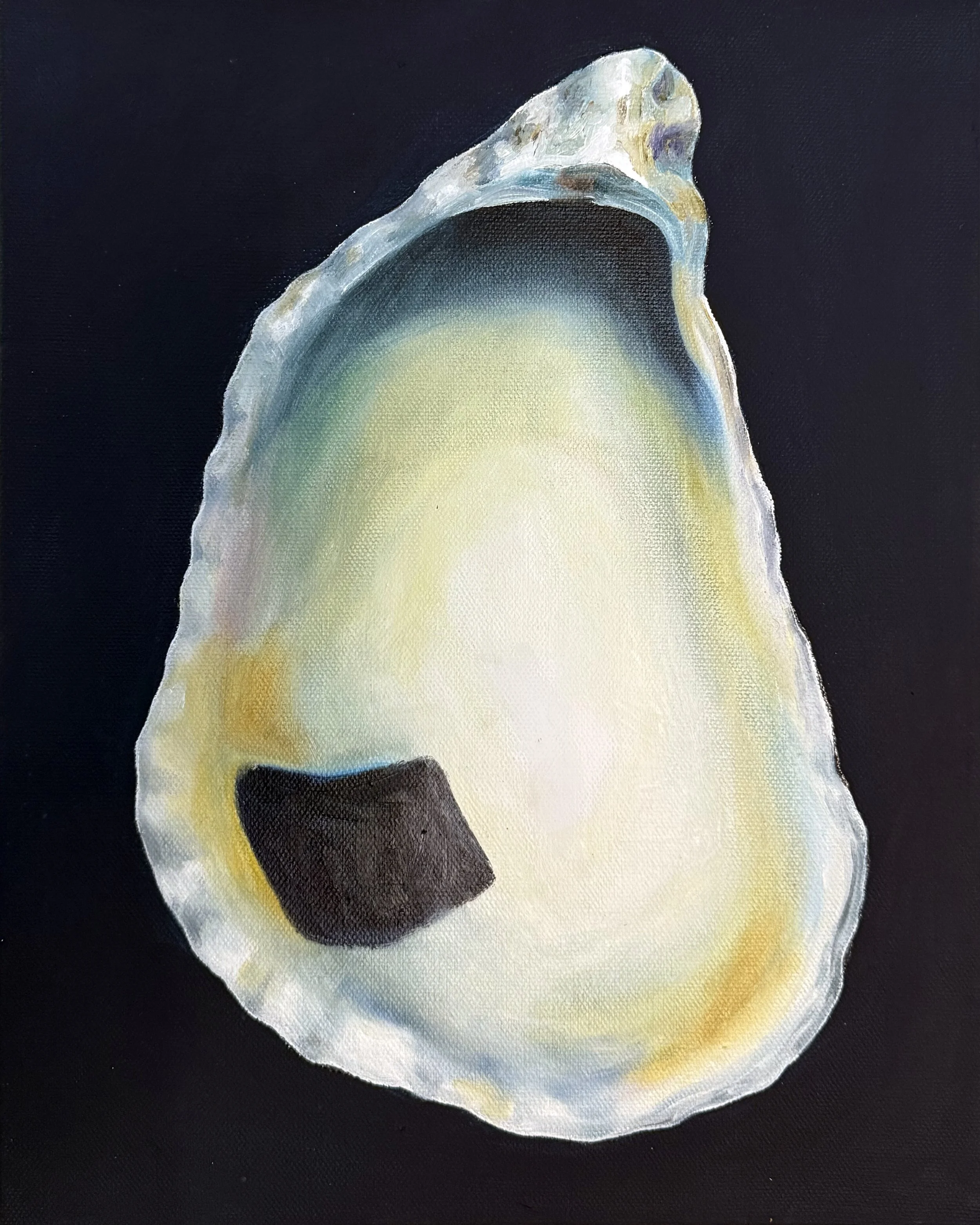 Shucked Shell No.2 copy.jpg