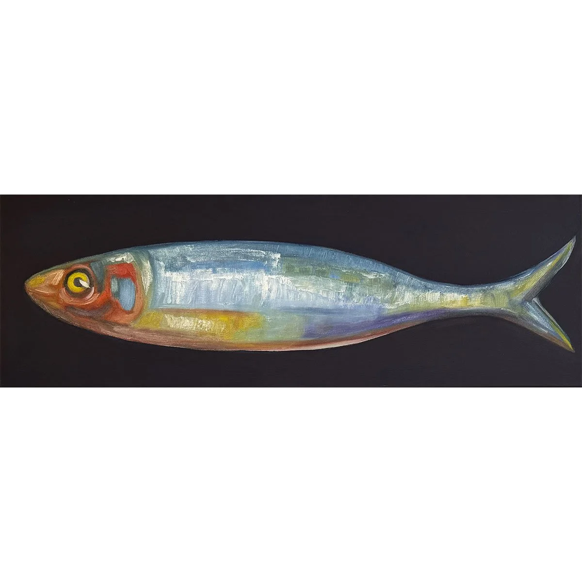 Single Sardine on Dark Blue