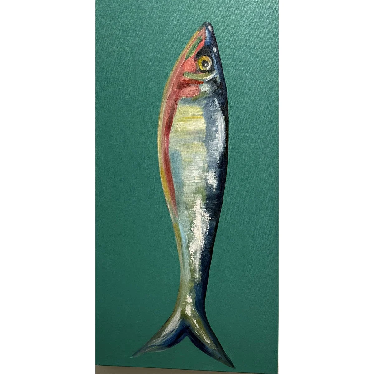 Single Sardine on Aqua