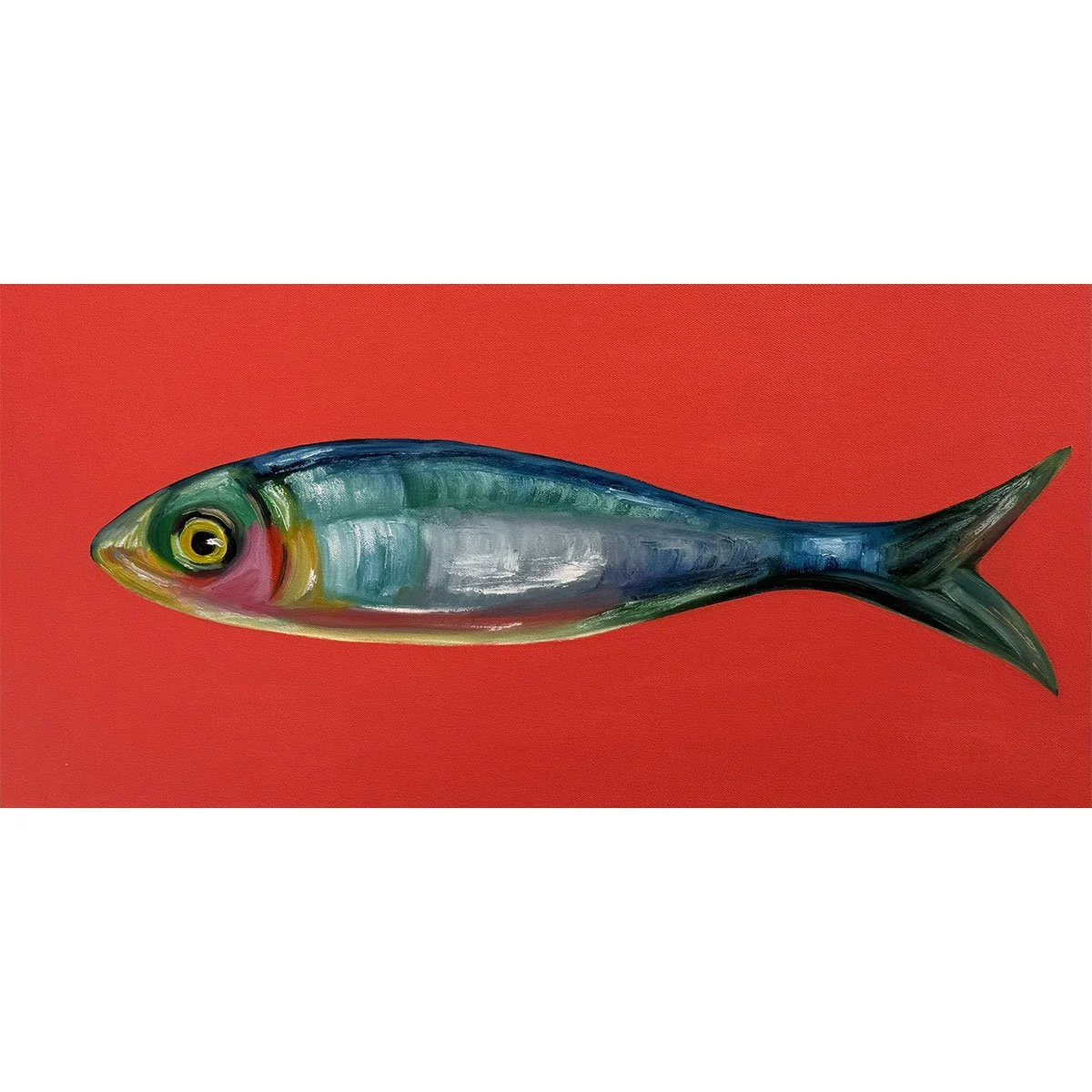 Single Sardine on Red