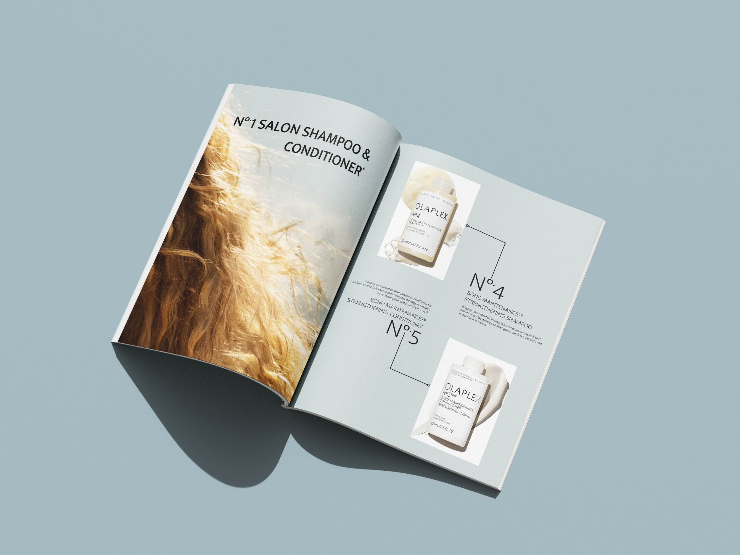 Brochure_Mockup_4.png