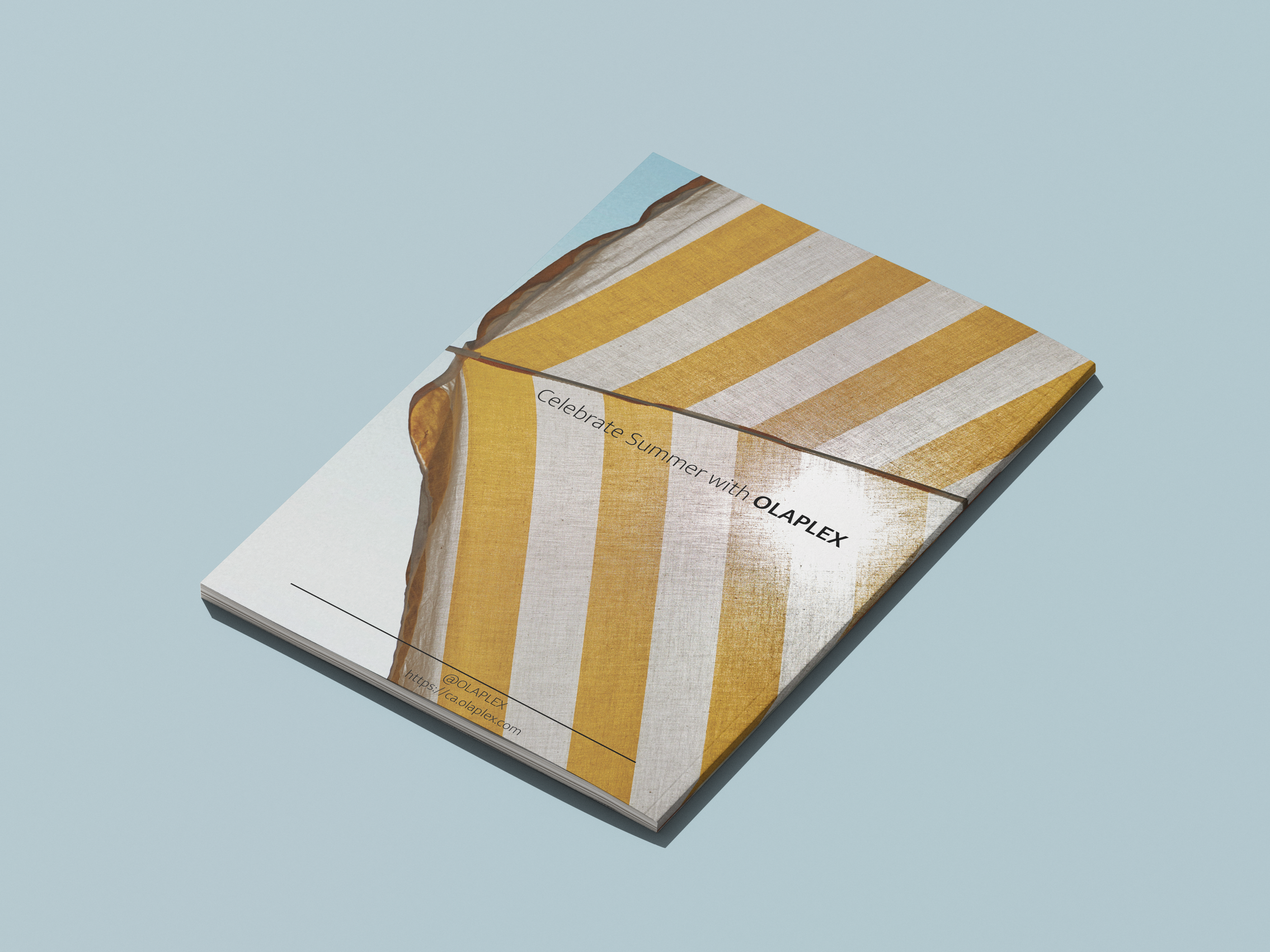 Brochure_Mockup_1..end png.png
