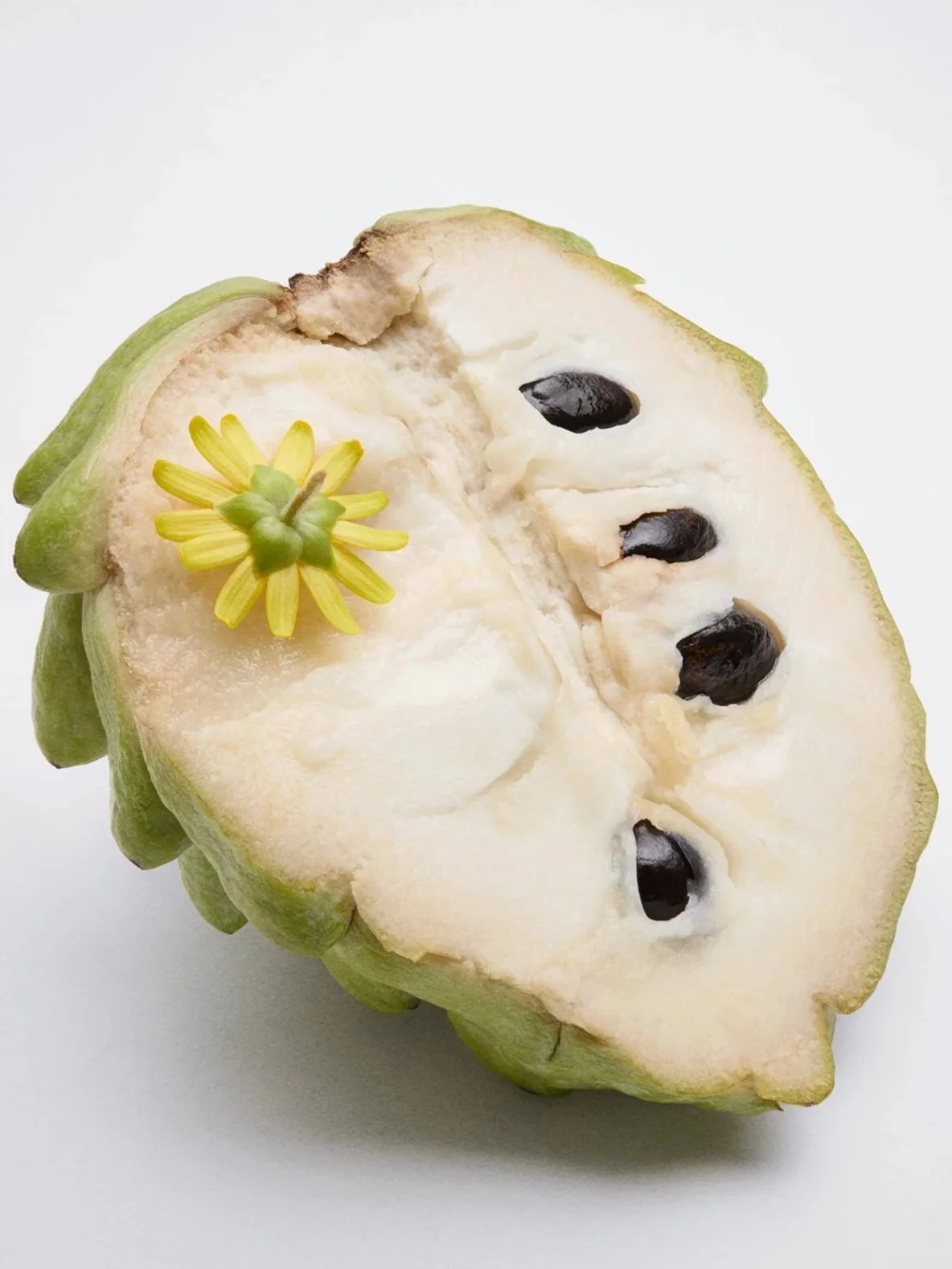 SHOT01_20250612_Fruits11711_HR.jpg