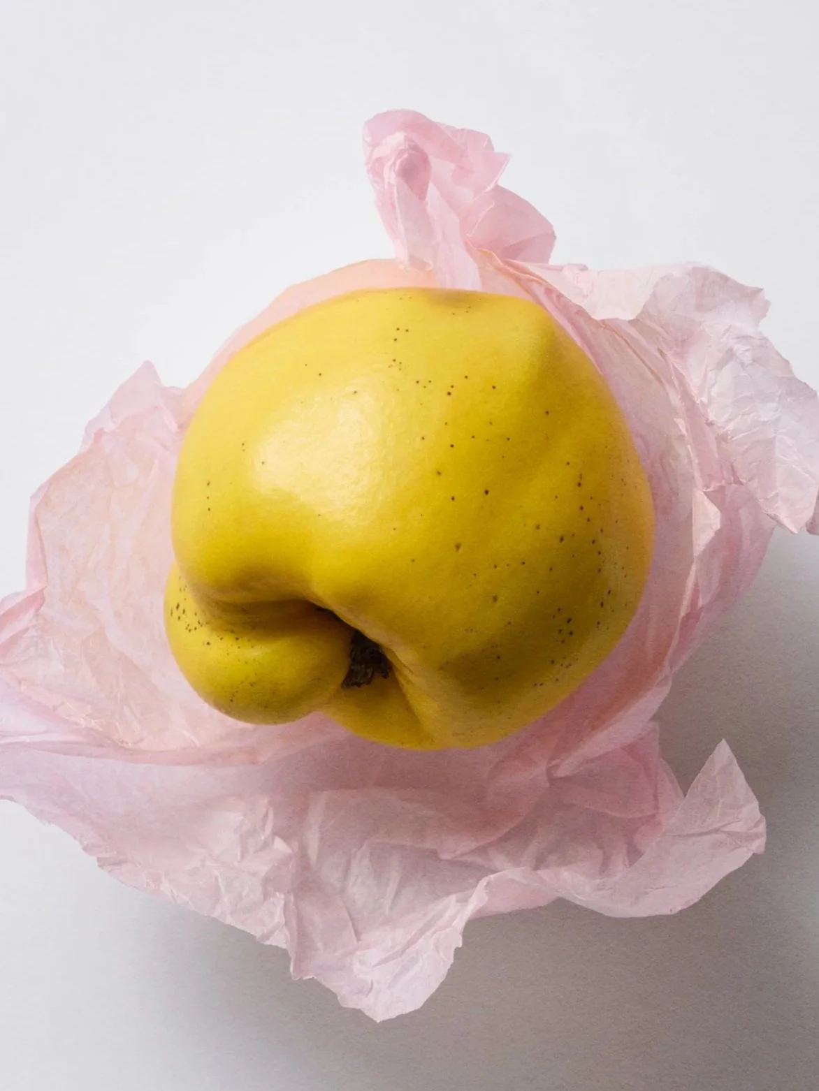 SHOT04_20250612_Fruits12916_HR.jpg
